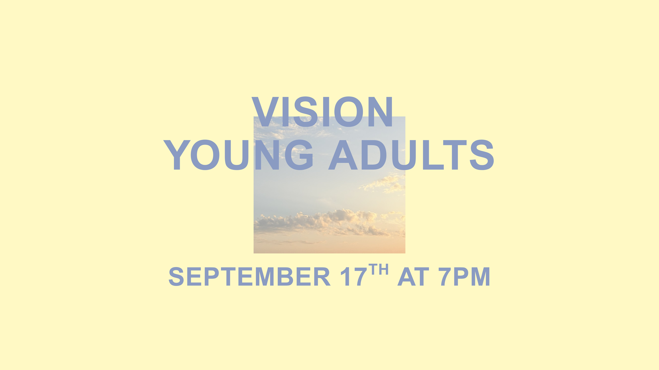 VISION YOUNG ADULTS