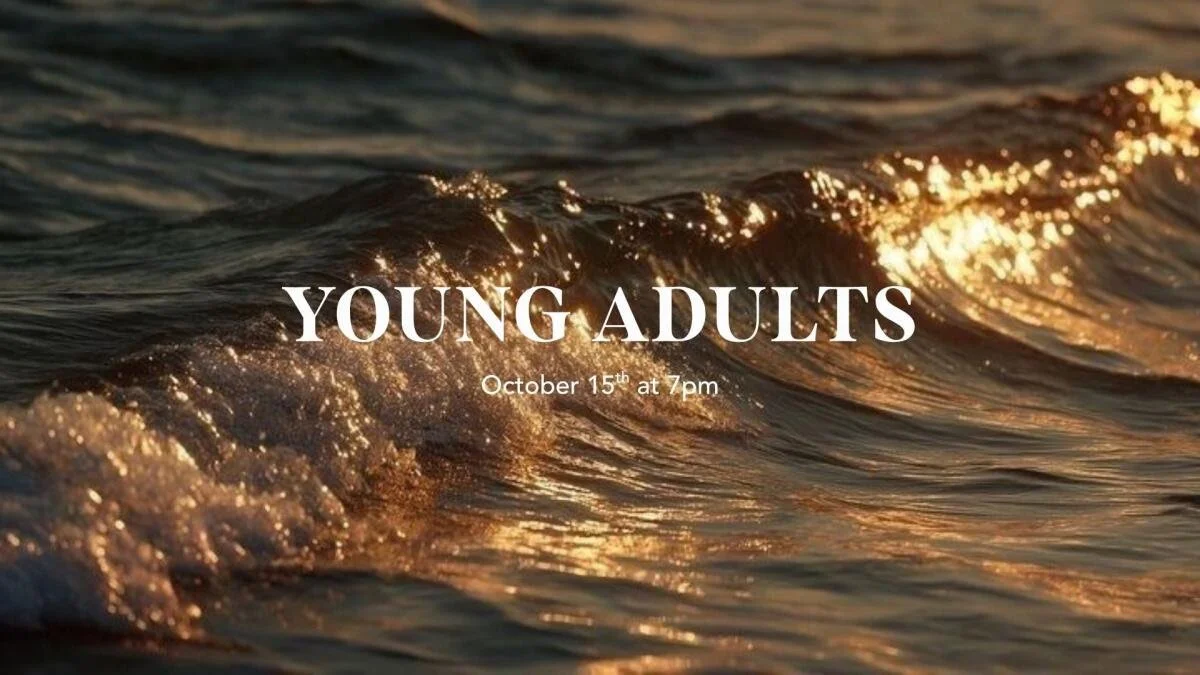 VISION YOUNG ADULTS