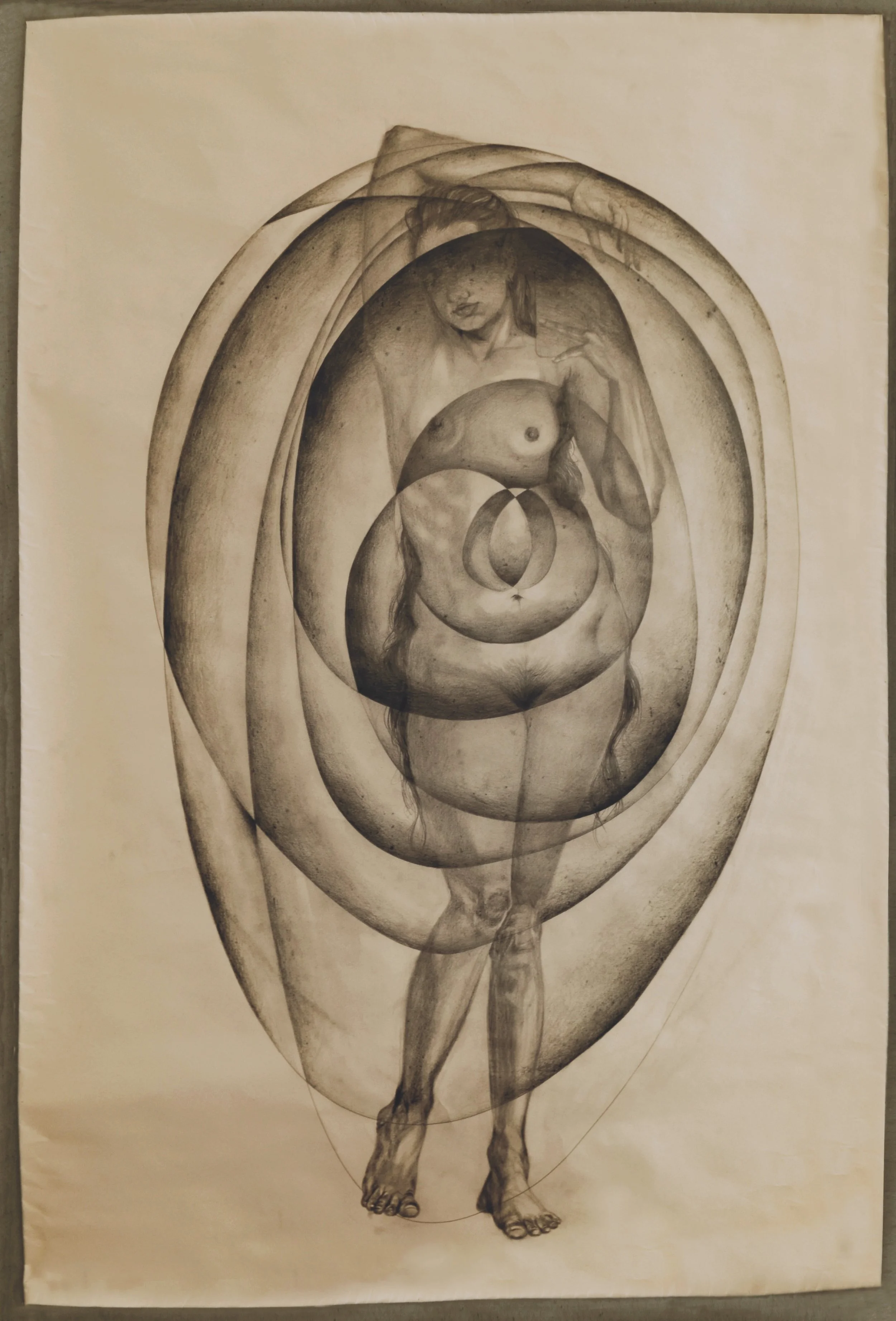 Deewani II, Part of Sarrphirre (Crazy in love), 2021
Graphite on paper
6 ft x 3 ft 