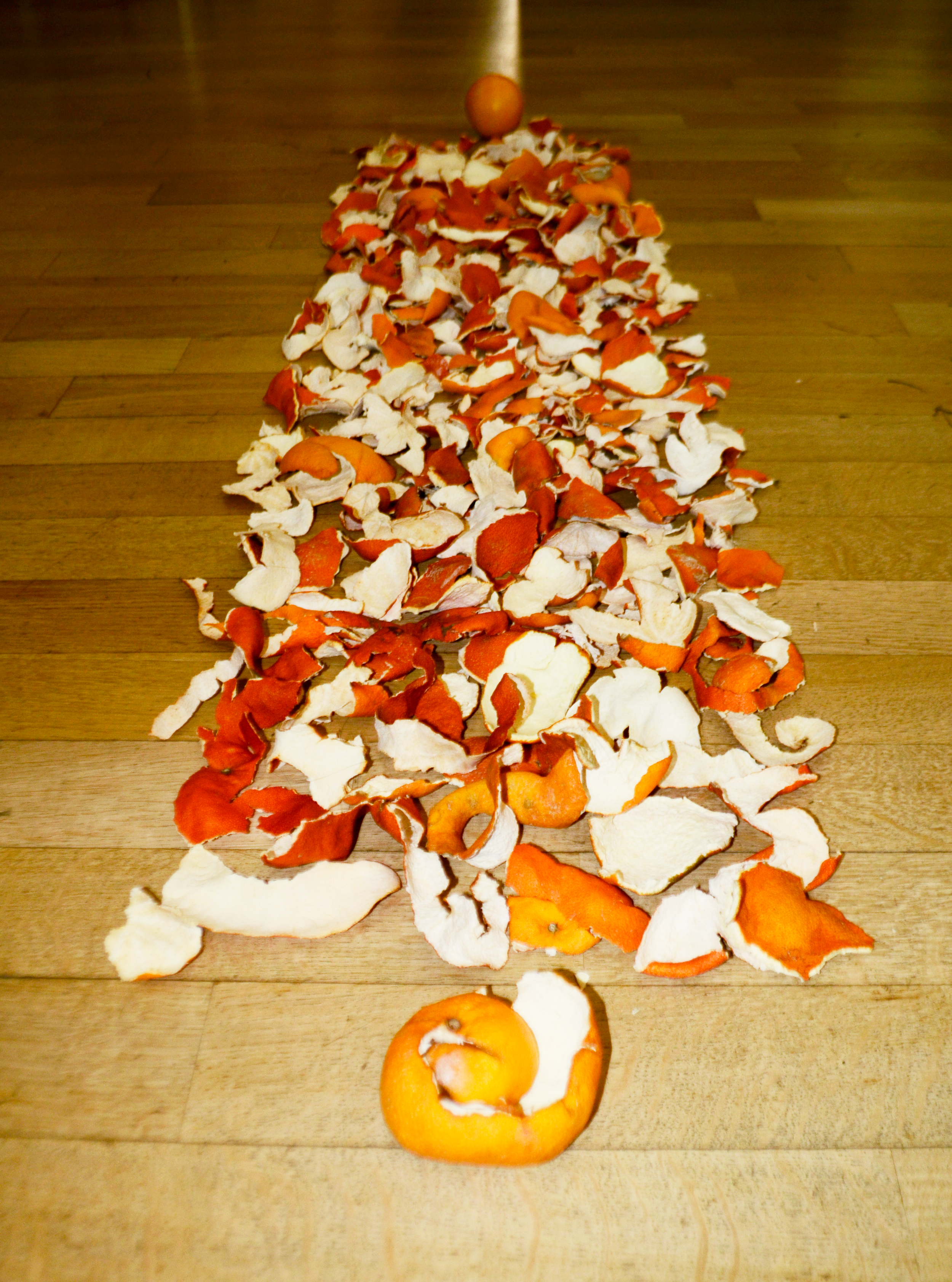 3 months in Rome, 2021
Dried Navel Orange peels