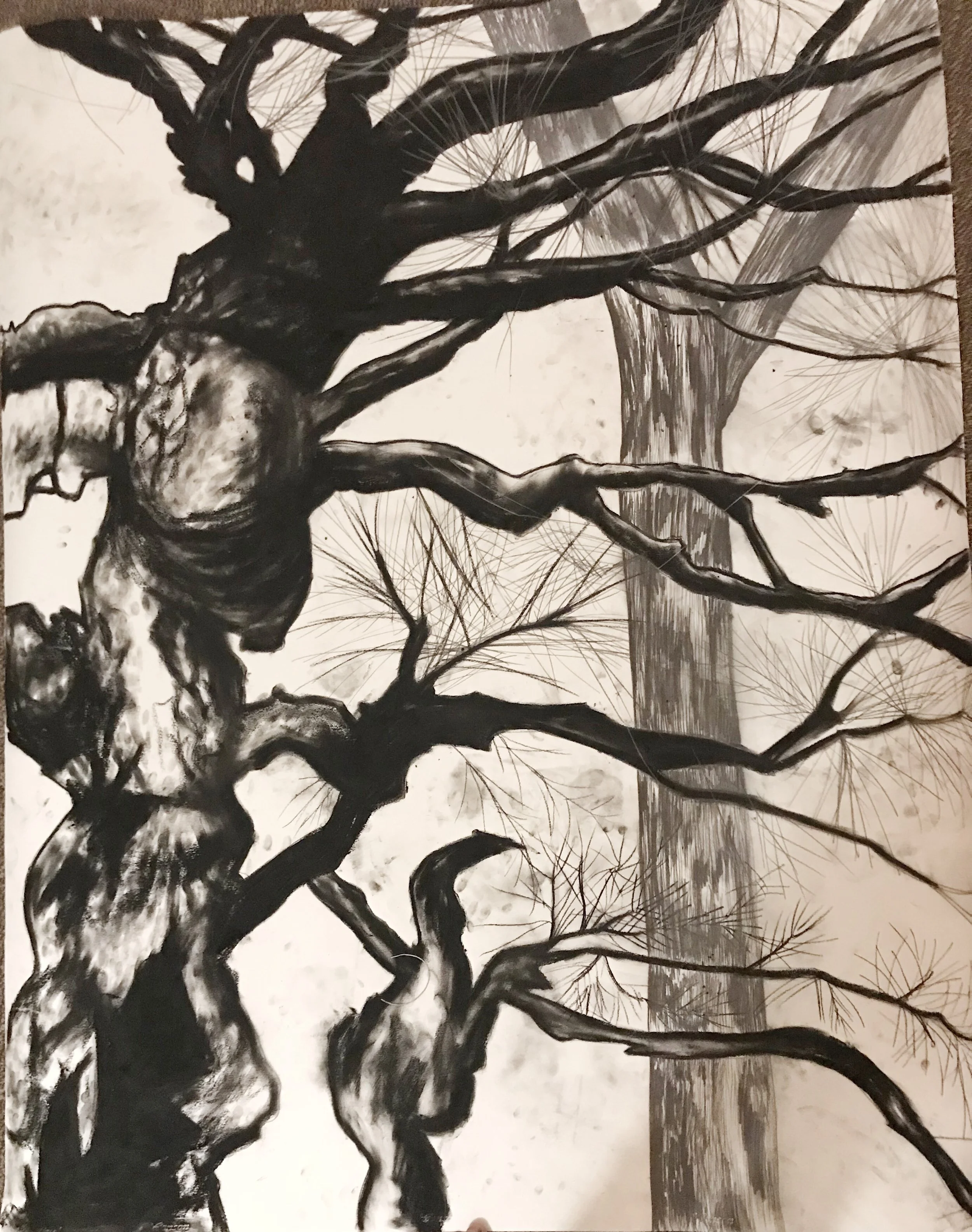 Still Life, 2018
Graphite and charcoal on paper
5 feet x 42"