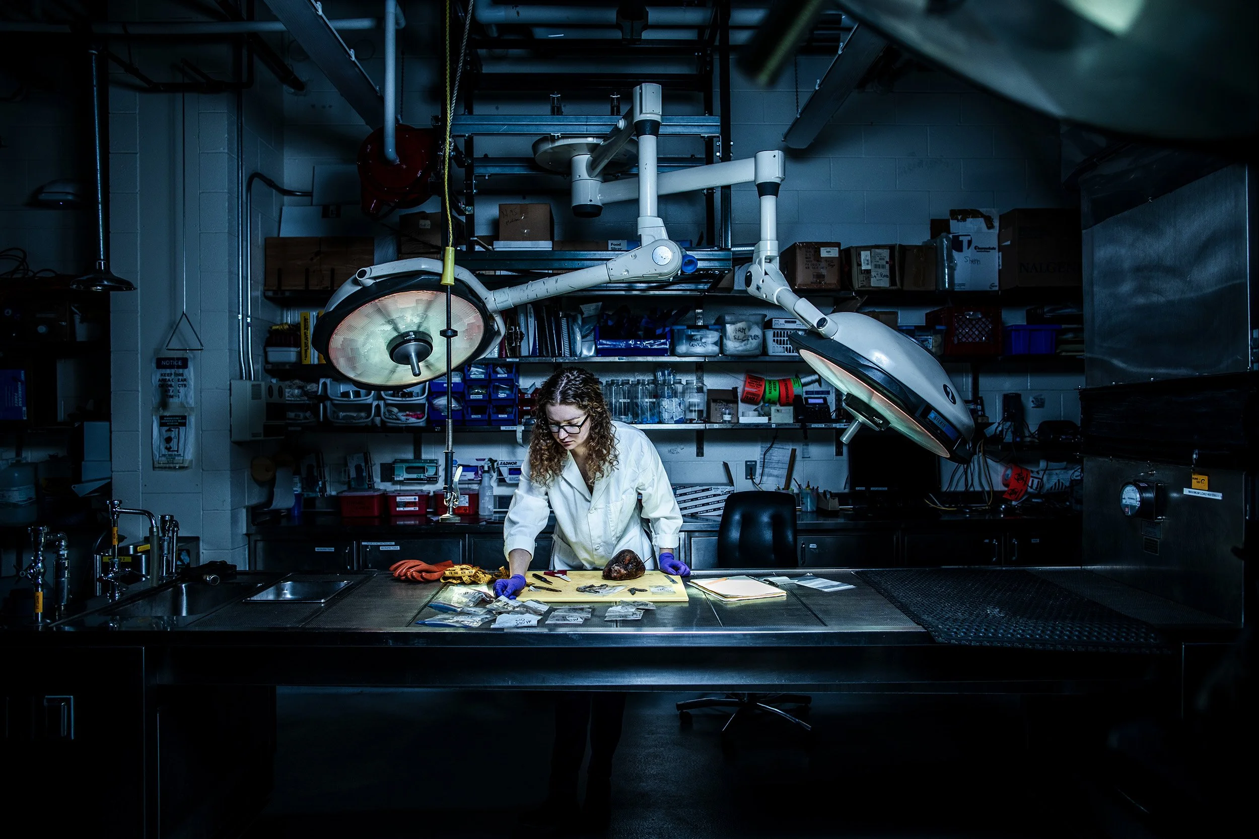 (Photo by Daniel Hentz, © Woods Hole Oceanographic Institution)