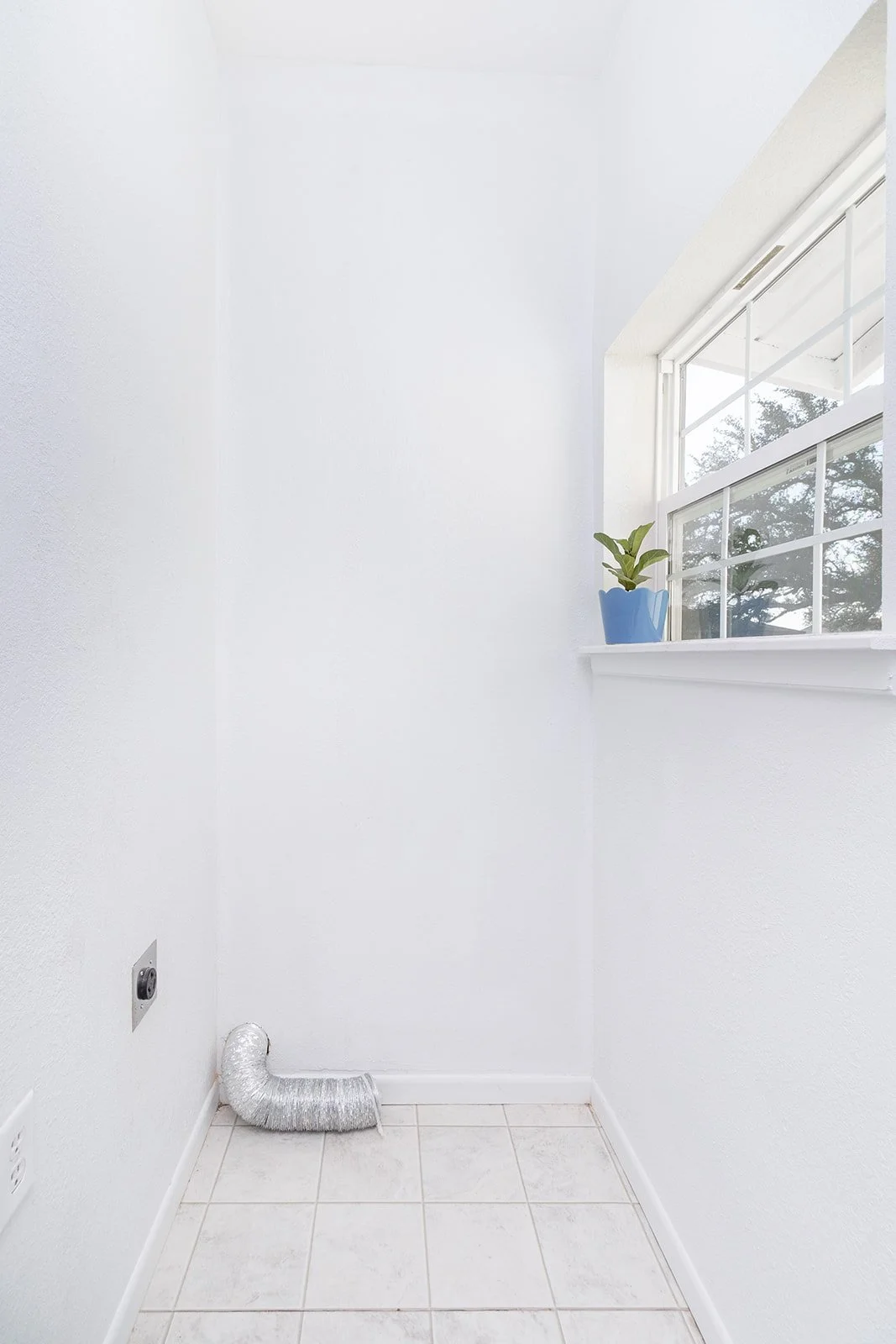 115A4056-Edit.jpg