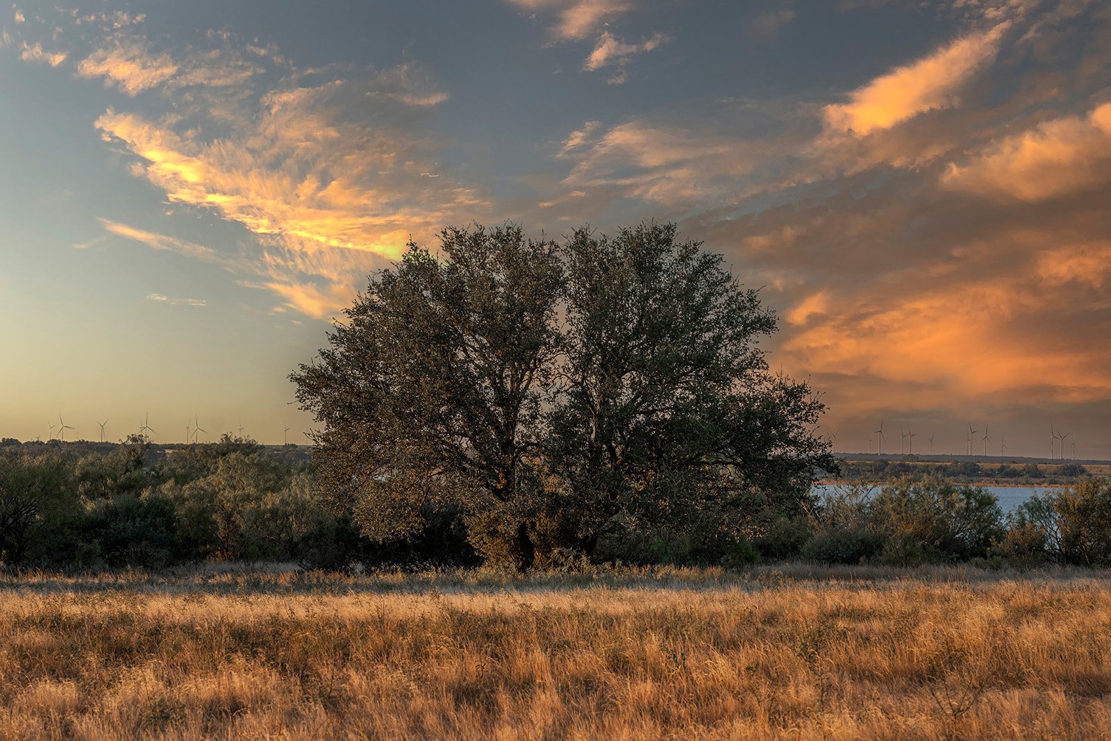 3B8A8101-HDR-Edit.jpg