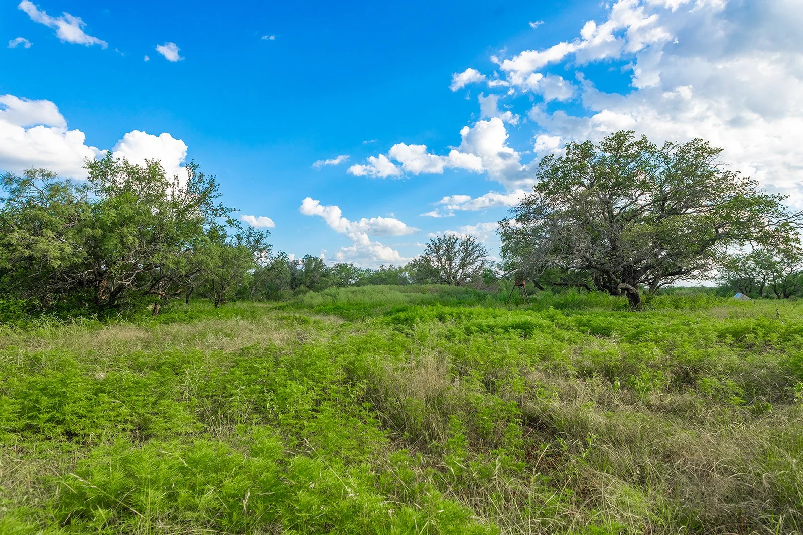 3B8A9190-HDR-Edit.jpg
