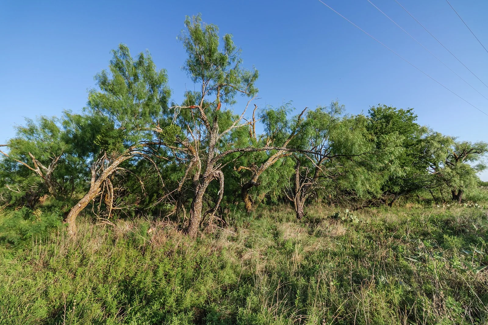 115A0401-HDR-Edit.jpg