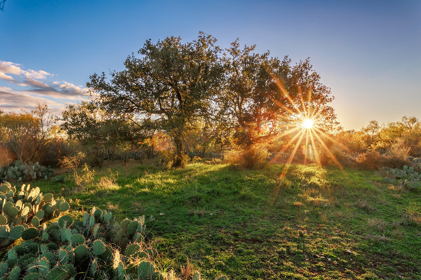 115A0866-HDR-Edit.jpg