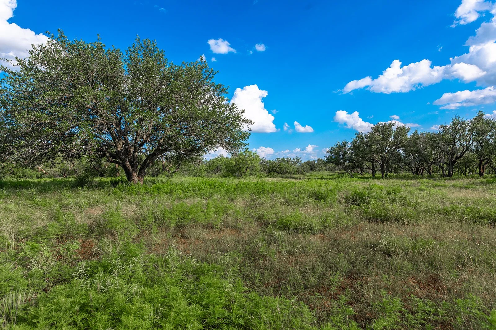 3B8A9181-HDR-Edit.jpg