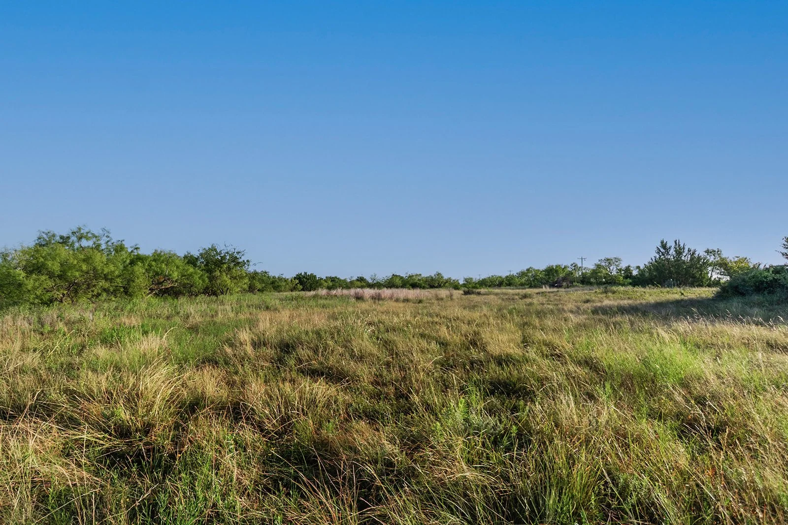 115A0365-HDR-Edit.jpg