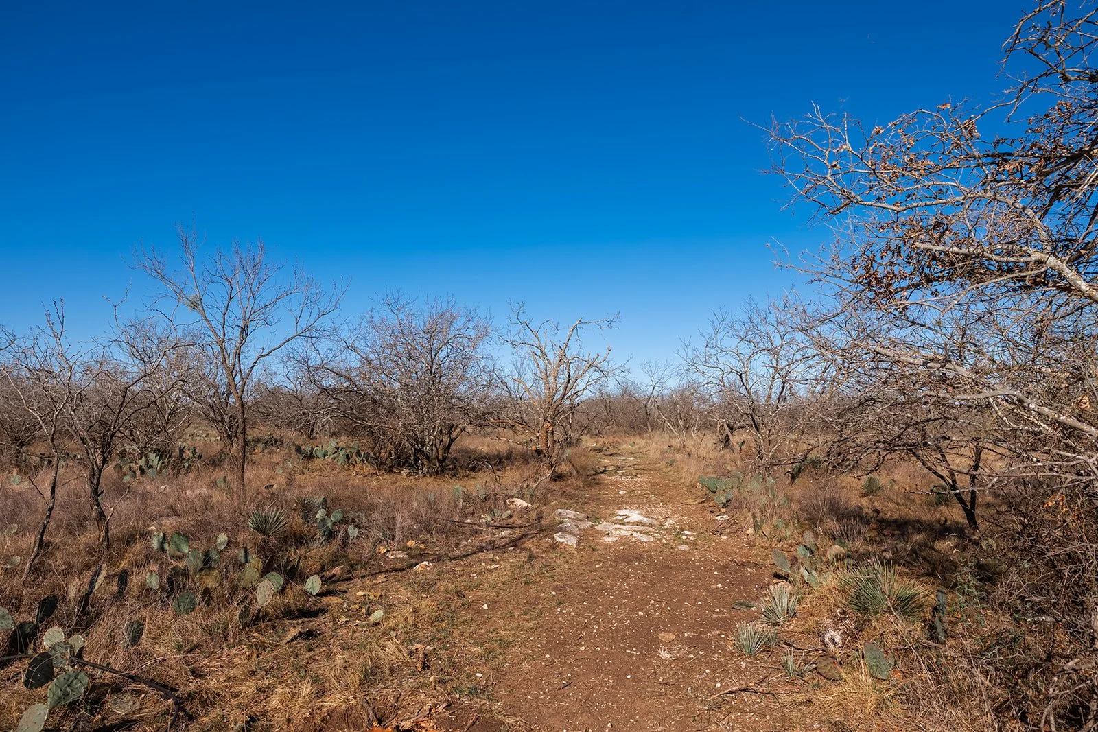 3B8A4707-HDR-Edit.jpg