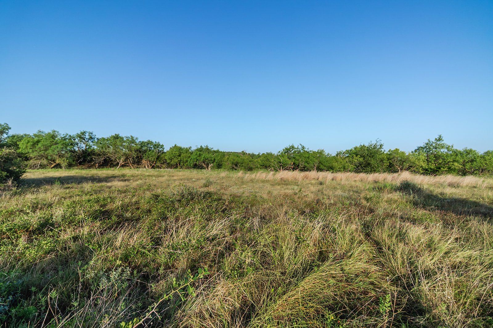 115A0350-HDR-Edit.jpg