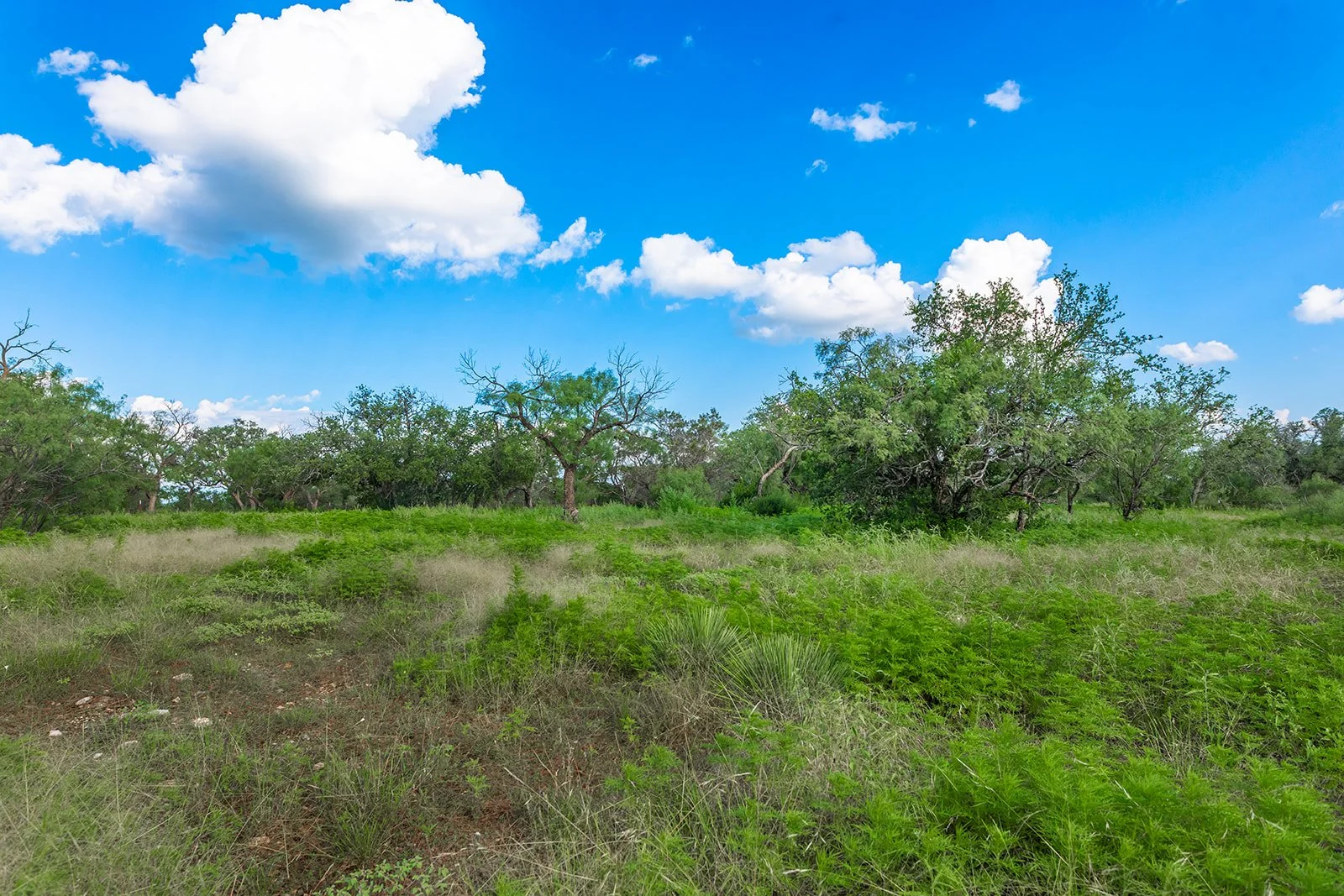 3B8A9193-HDR-Edit.jpg