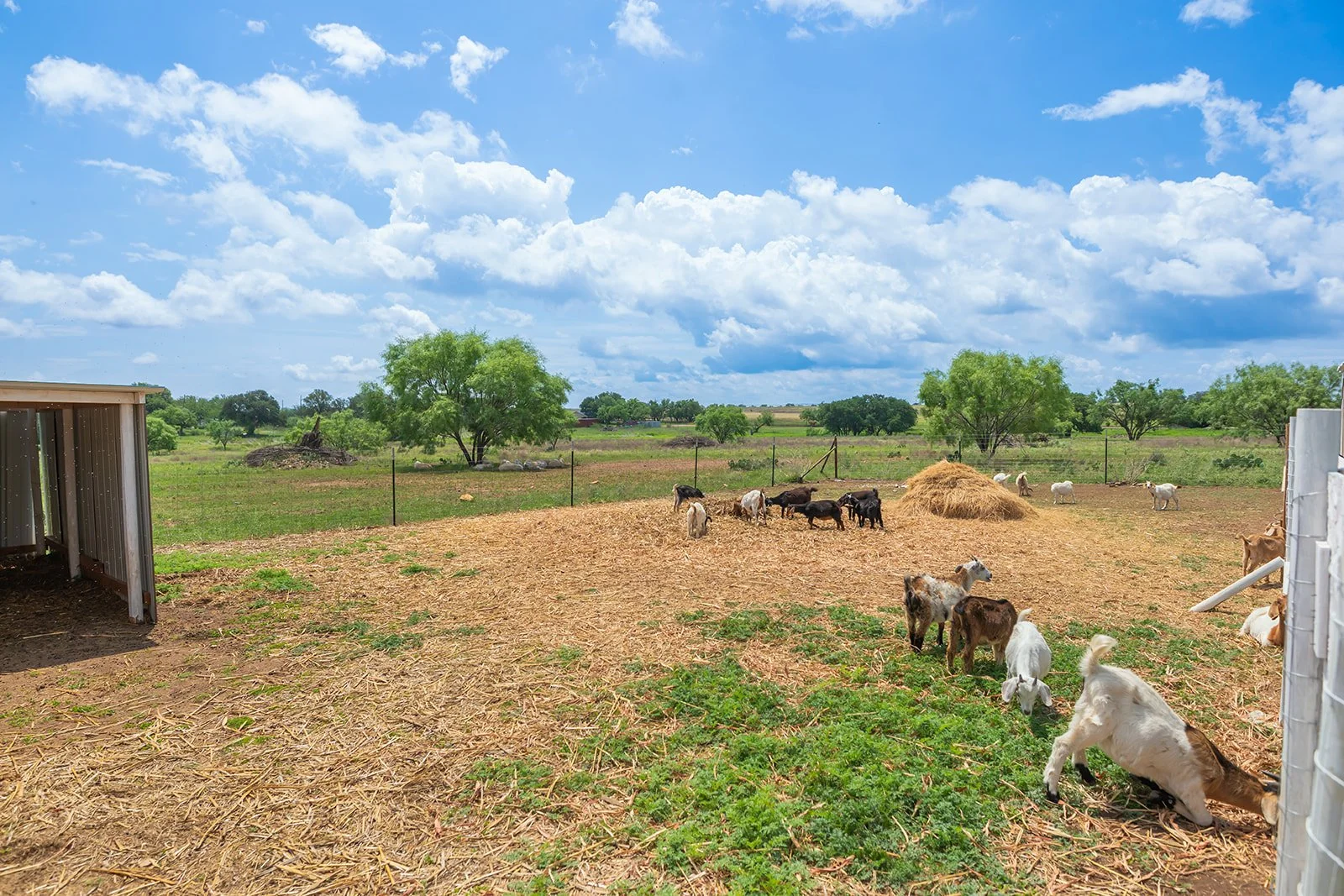 3B8A6935-HDR-Edit.jpg