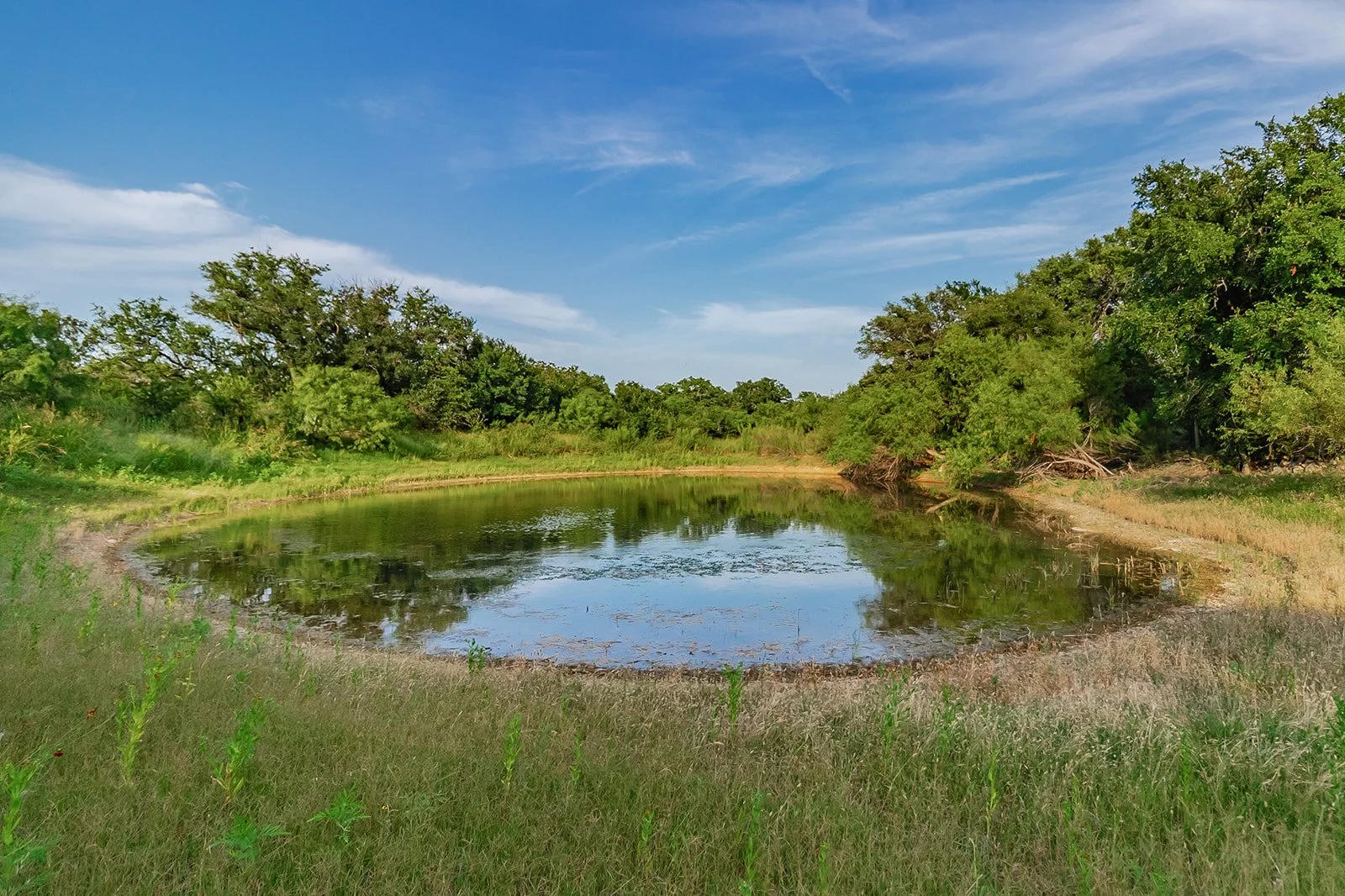 115A0140-HDR-Edit.jpg