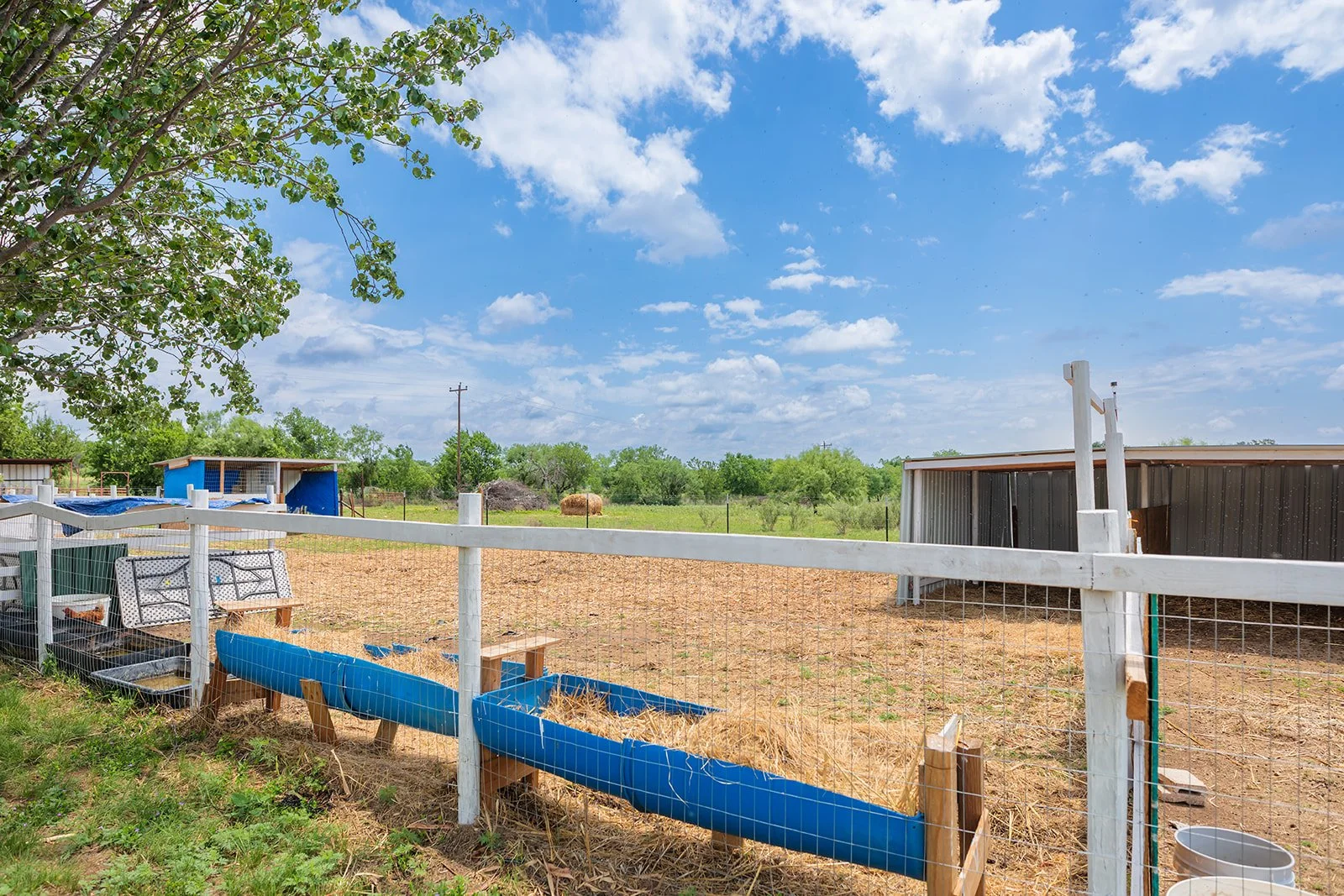 3B8A6929-HDR-Edit.jpg