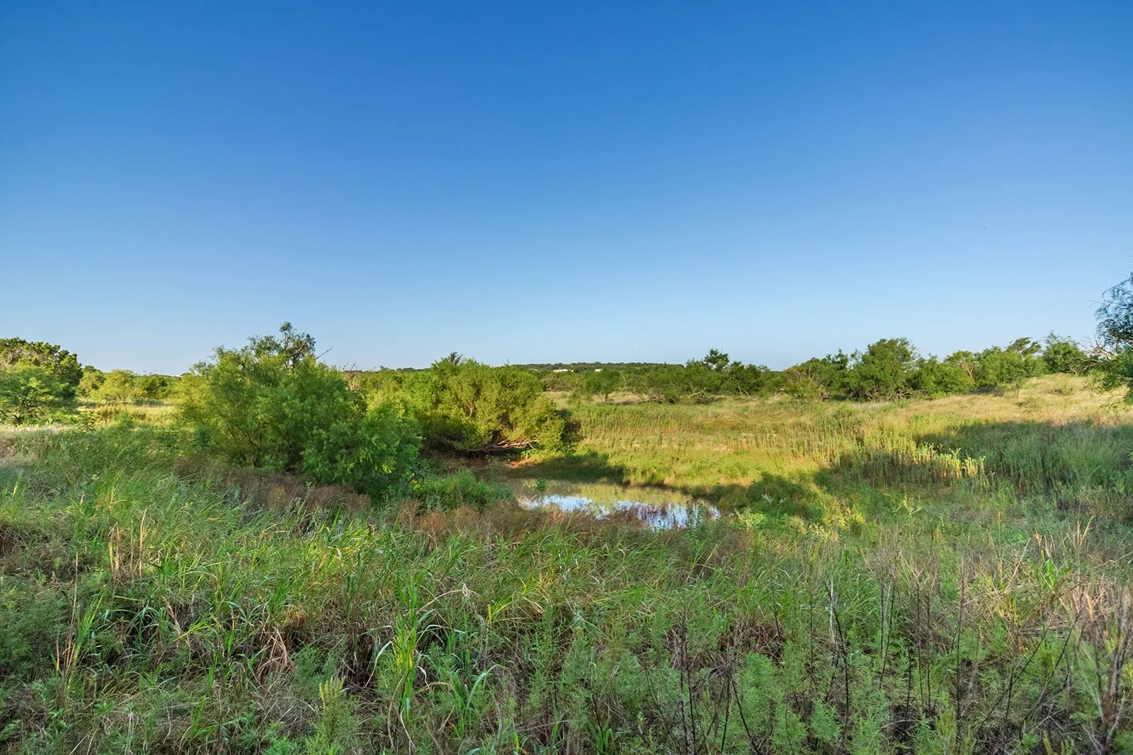 115A0380-HDR-Edit.jpg