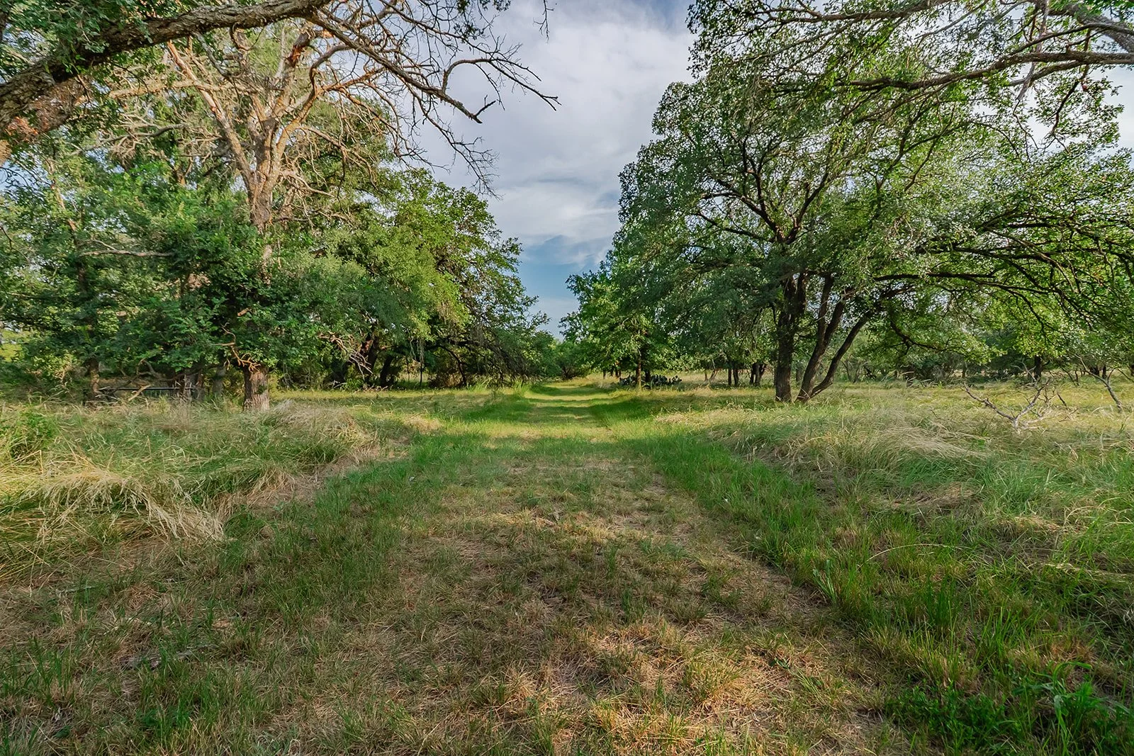 115A0125-HDR-Edit.jpg