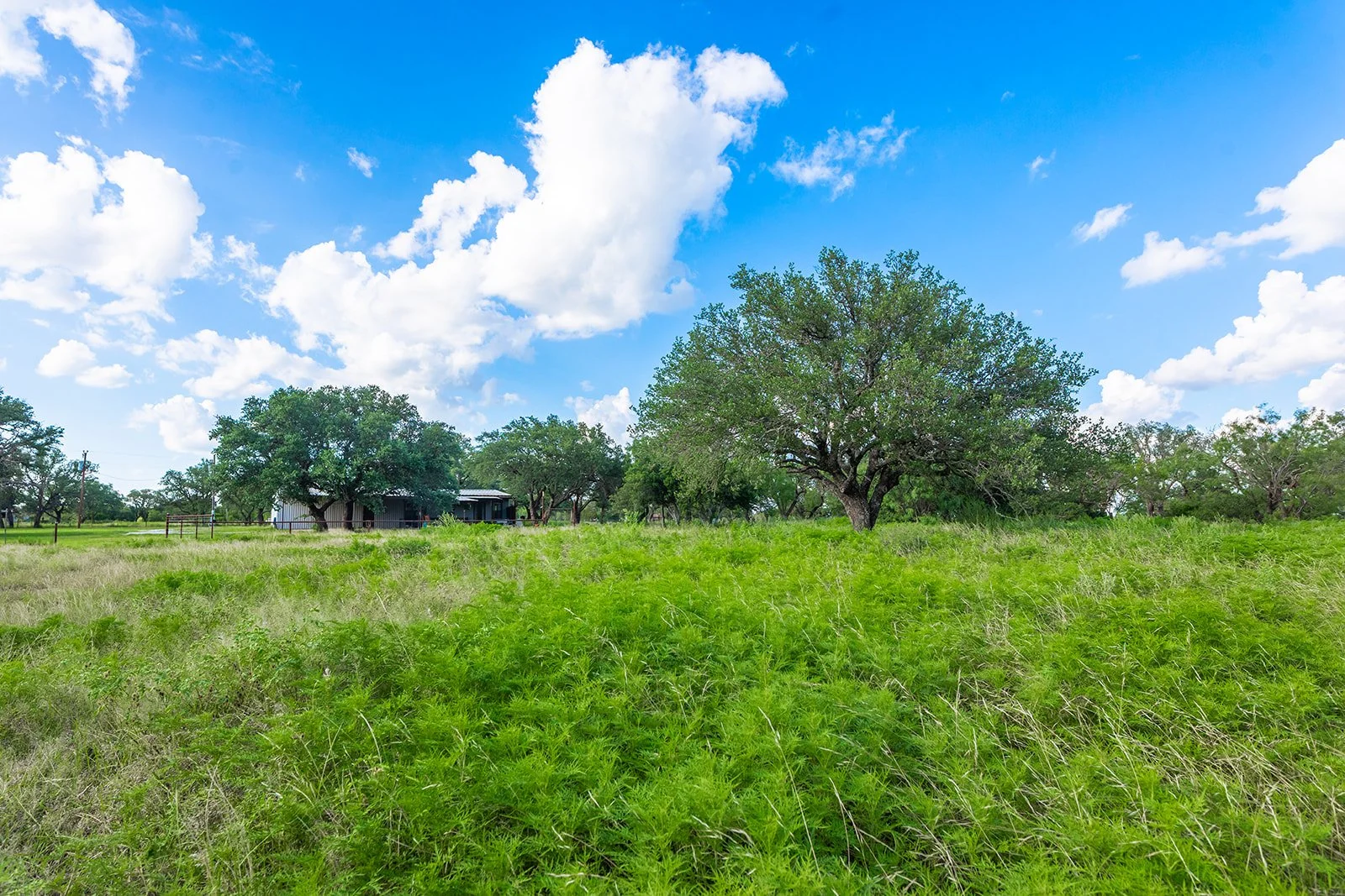 3B8A9202-HDR-Edit.jpg