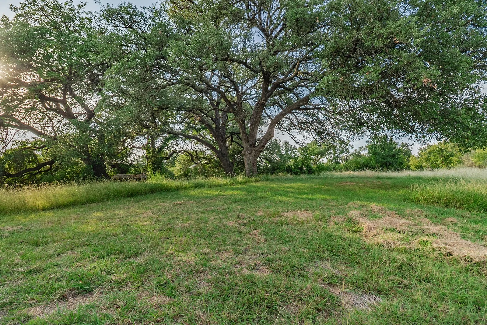 115A0143-HDR-Edit.jpg