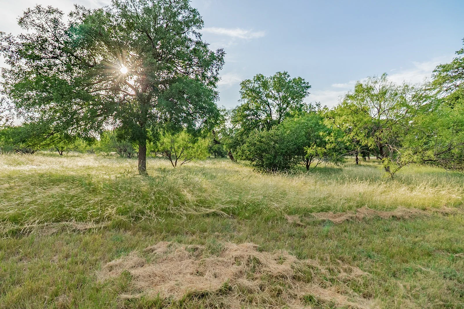 115A0155-HDR-Edit.jpg