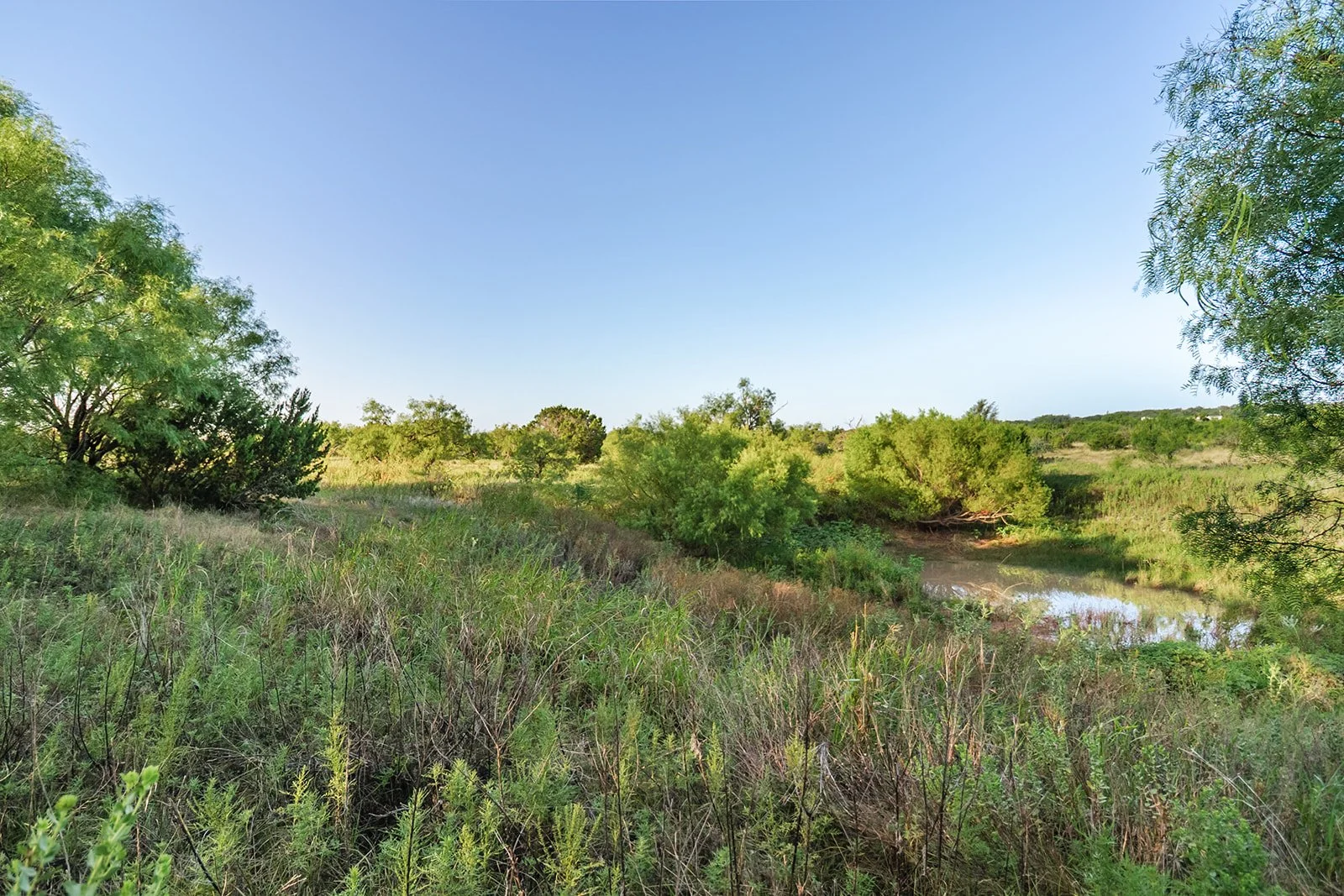 115A0389-HDR-Edit.jpg