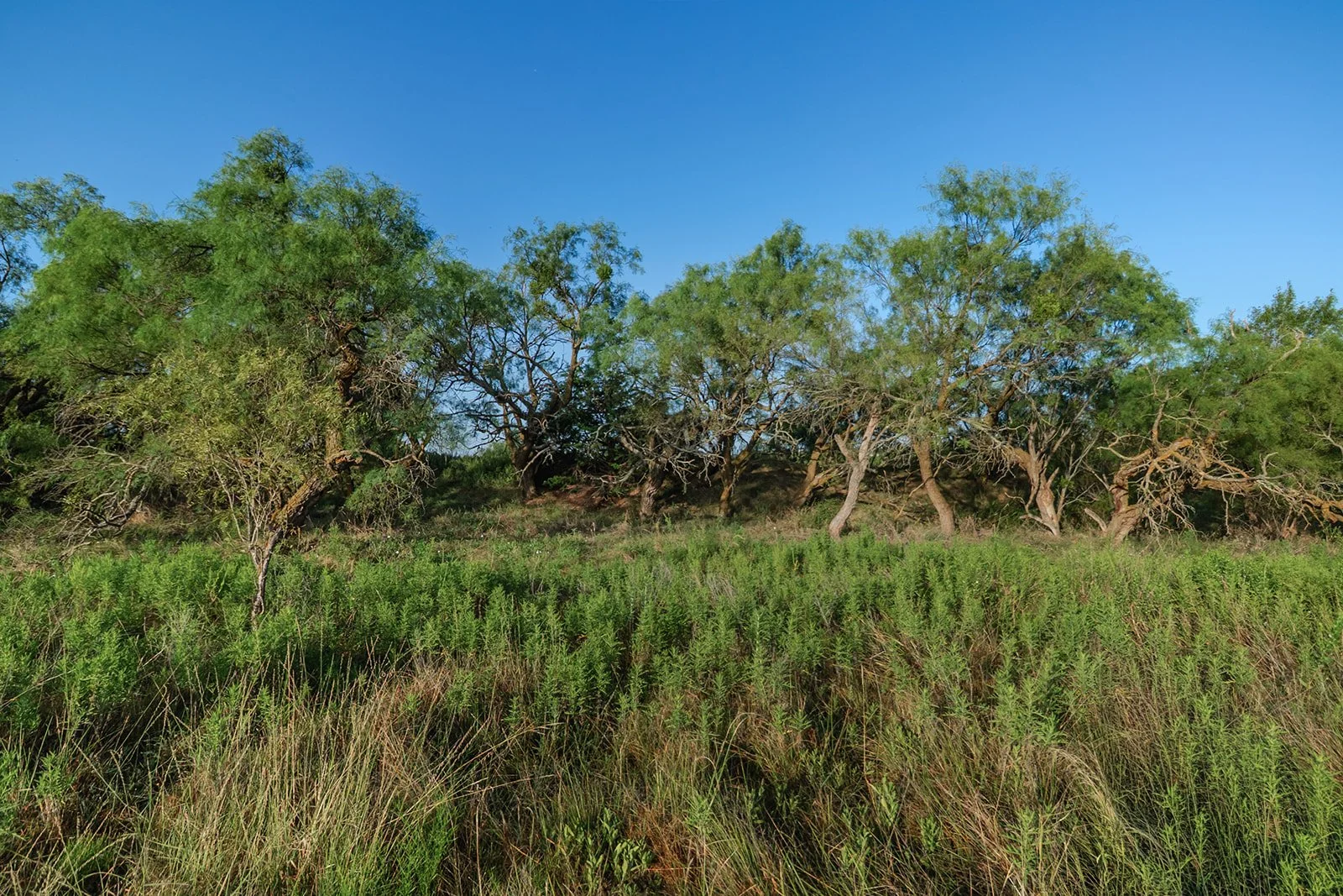 115A0374-HDR-Edit.jpg