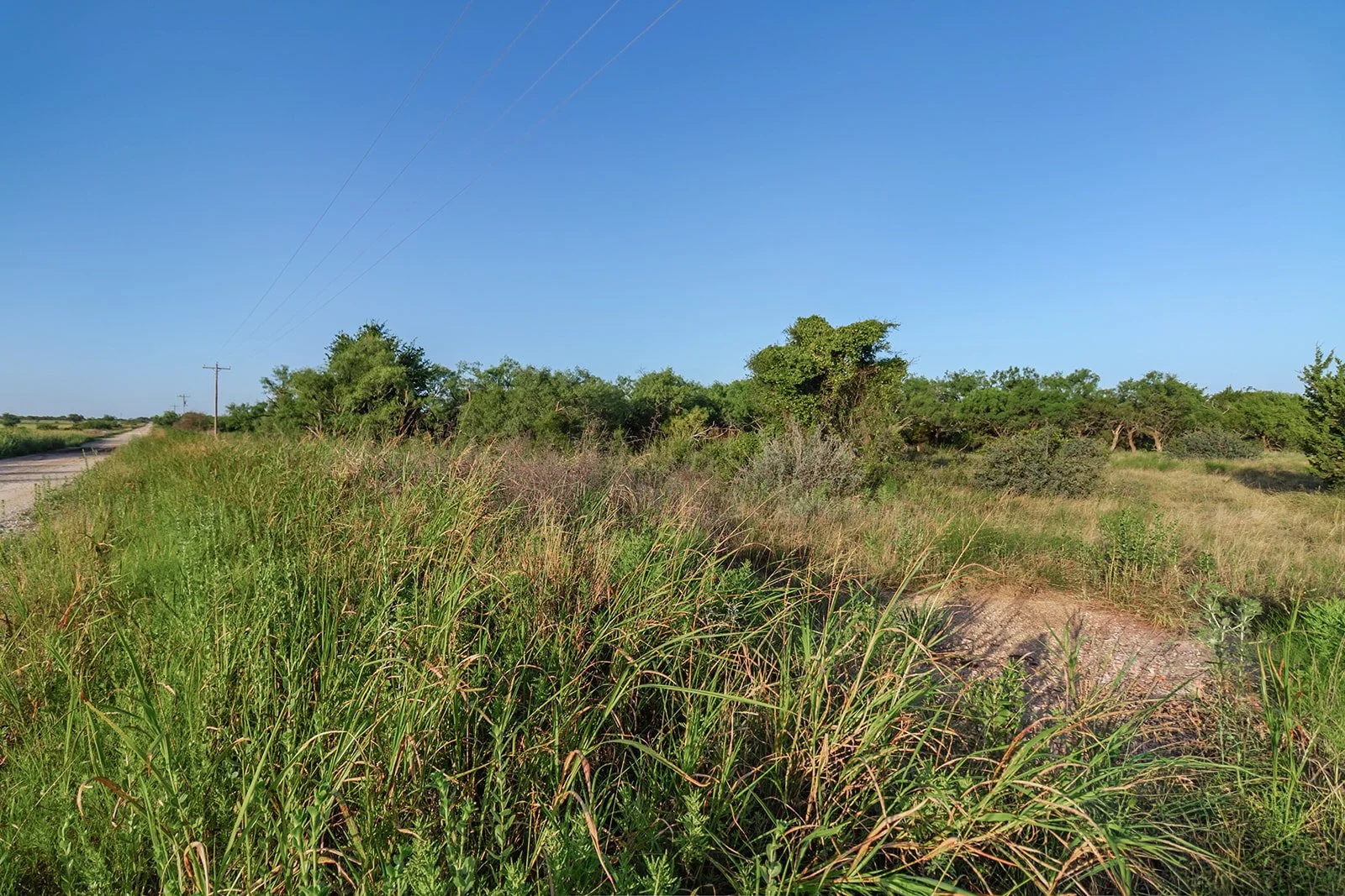 115A0341-HDR-Edit.jpg