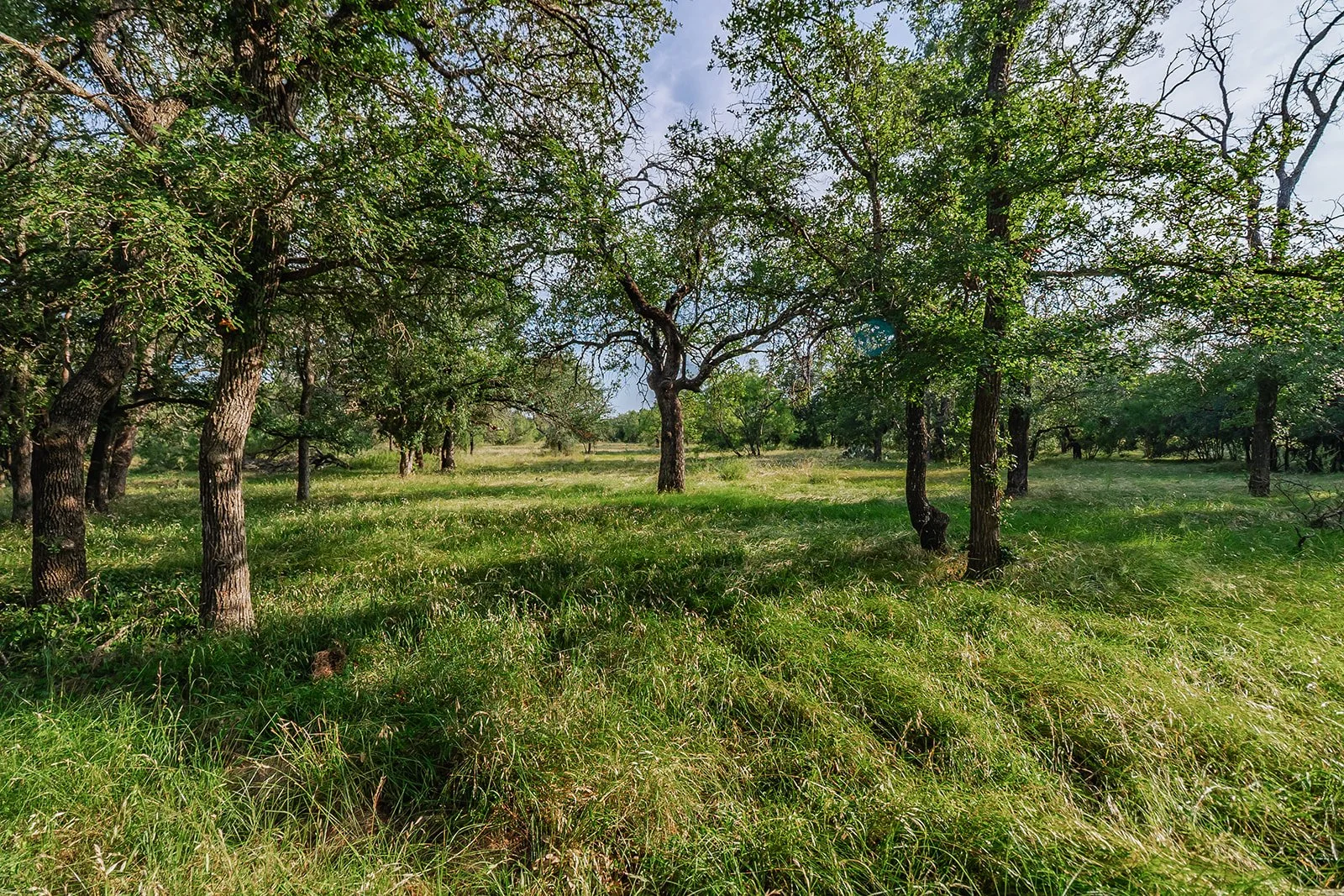 115A0074-HDR-Edit.jpg