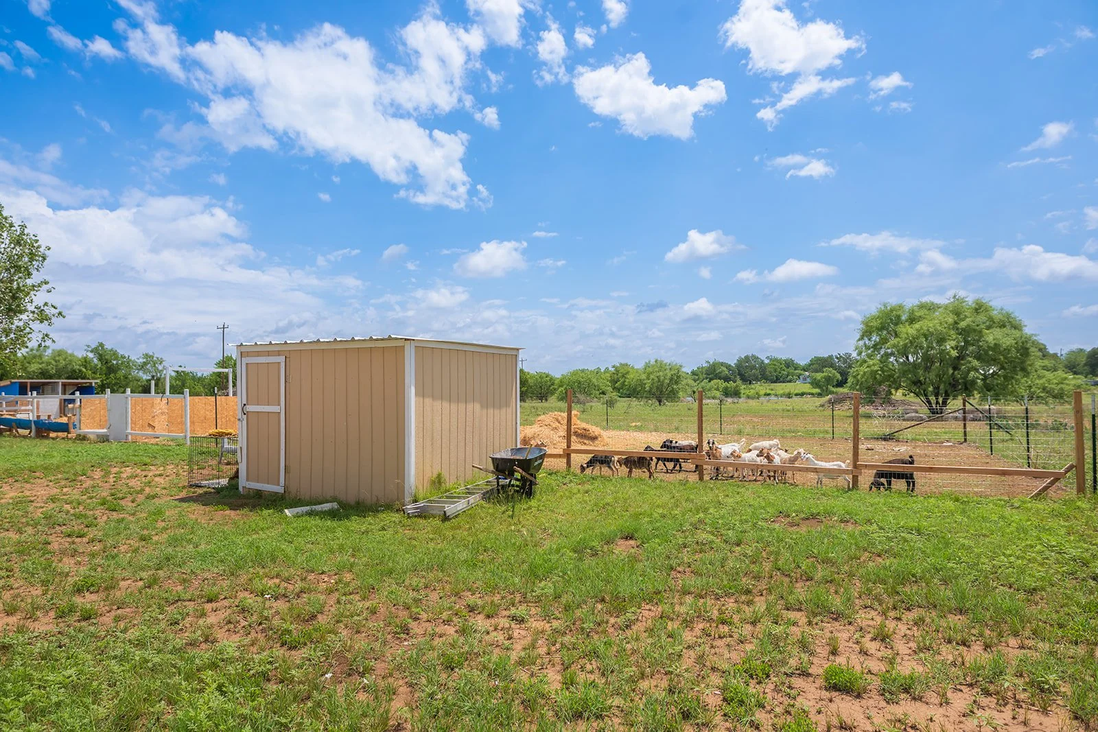 3B8A6950-HDR-Edit.jpg