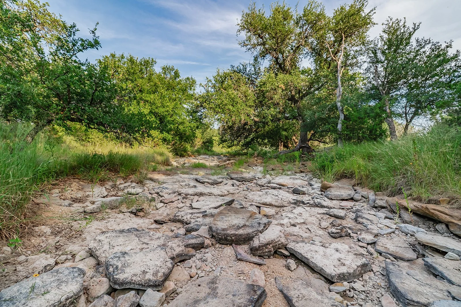 115A0116-HDR-Edit.jpg