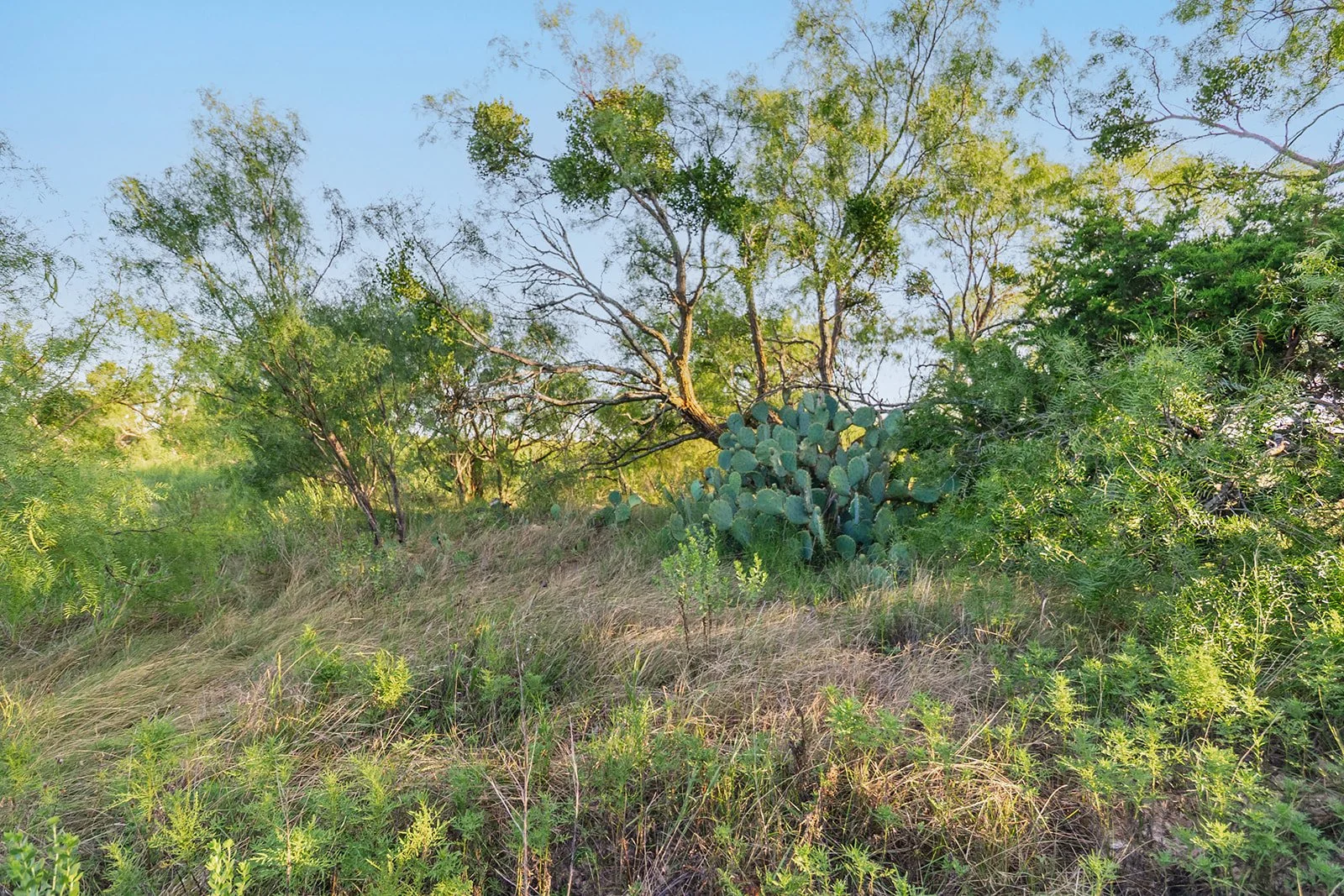 115A0395-HDR-Edit.jpg