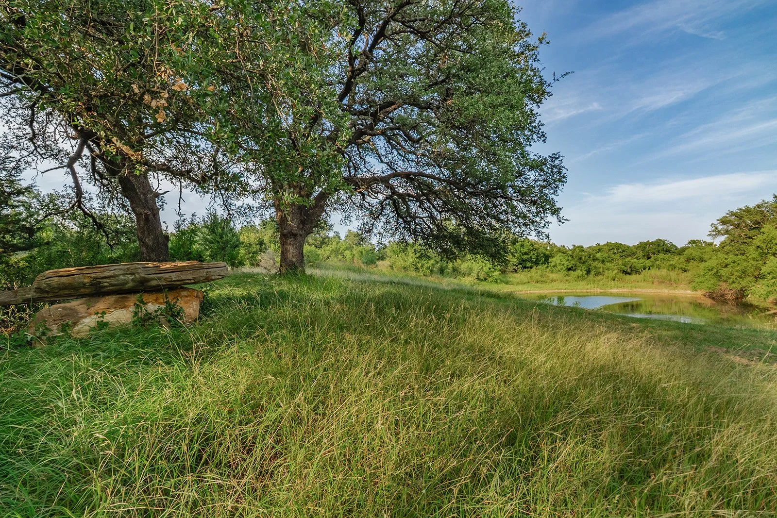 115A0146-HDR-Edit.jpg