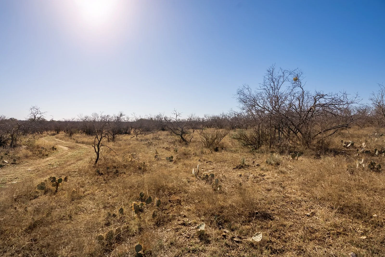 3B8A4692-HDR-Edit.jpg