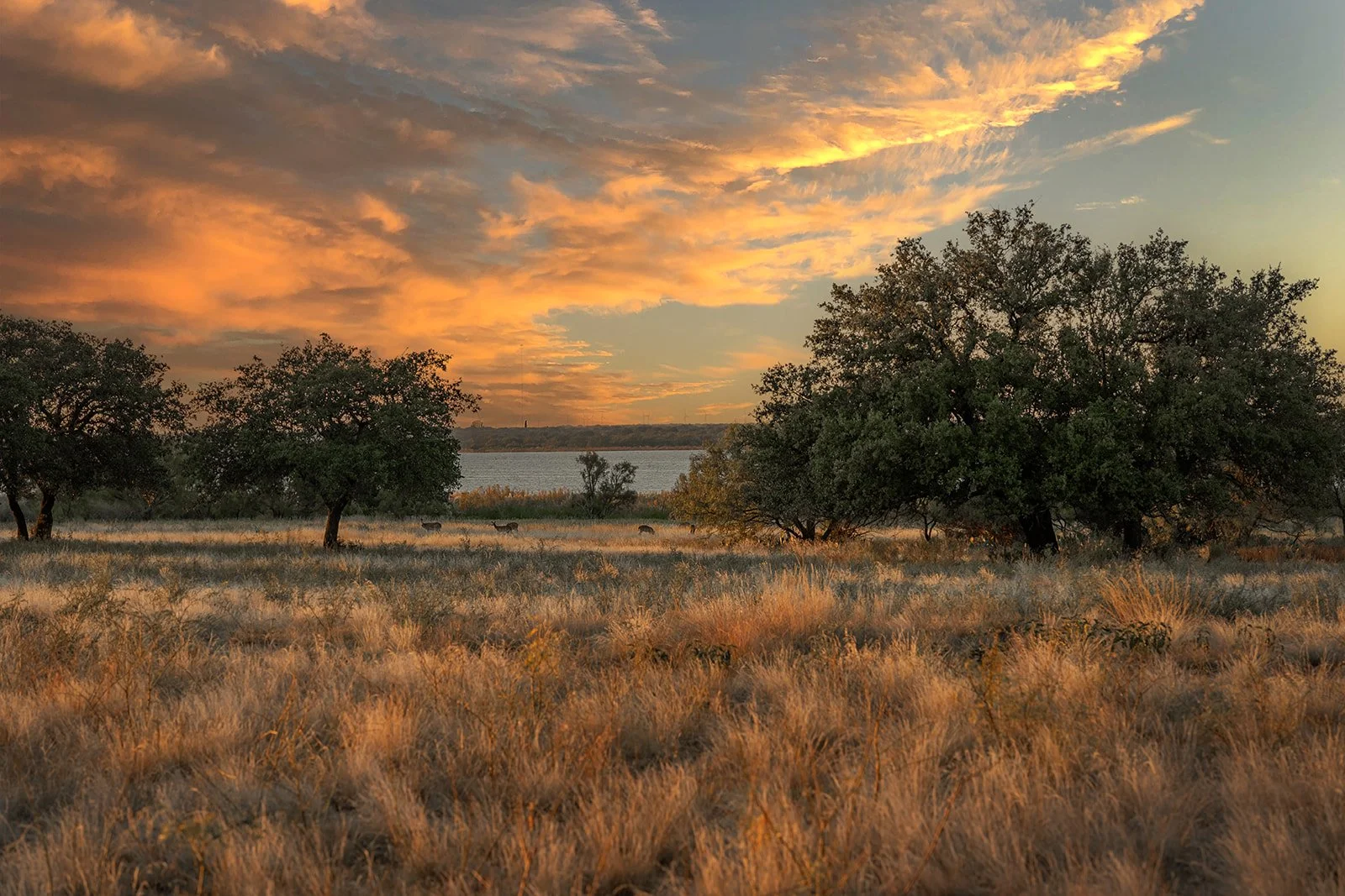 3B8A8153-HDR-Edit.jpg