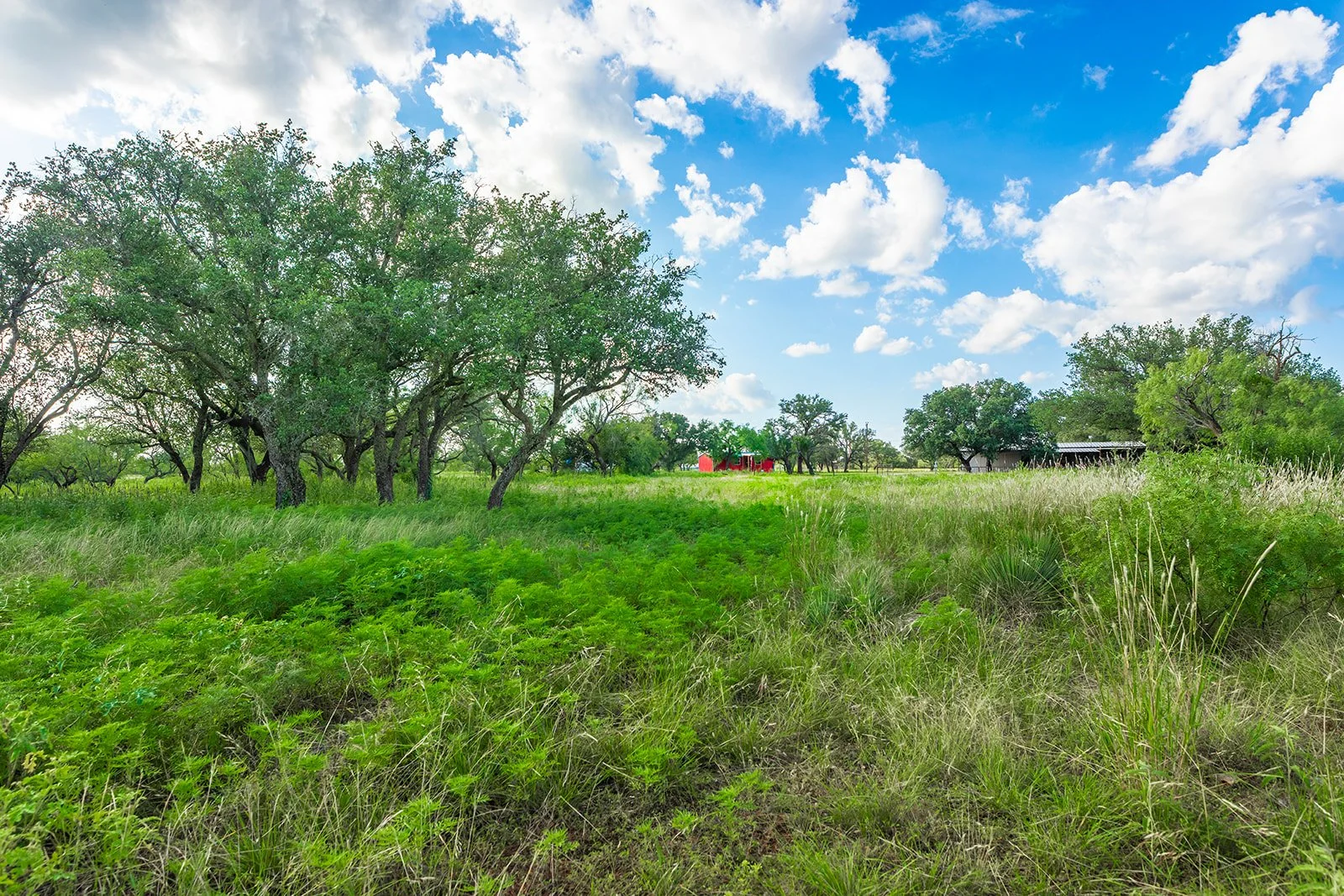 3B8A9199-HDR-Edit.jpg