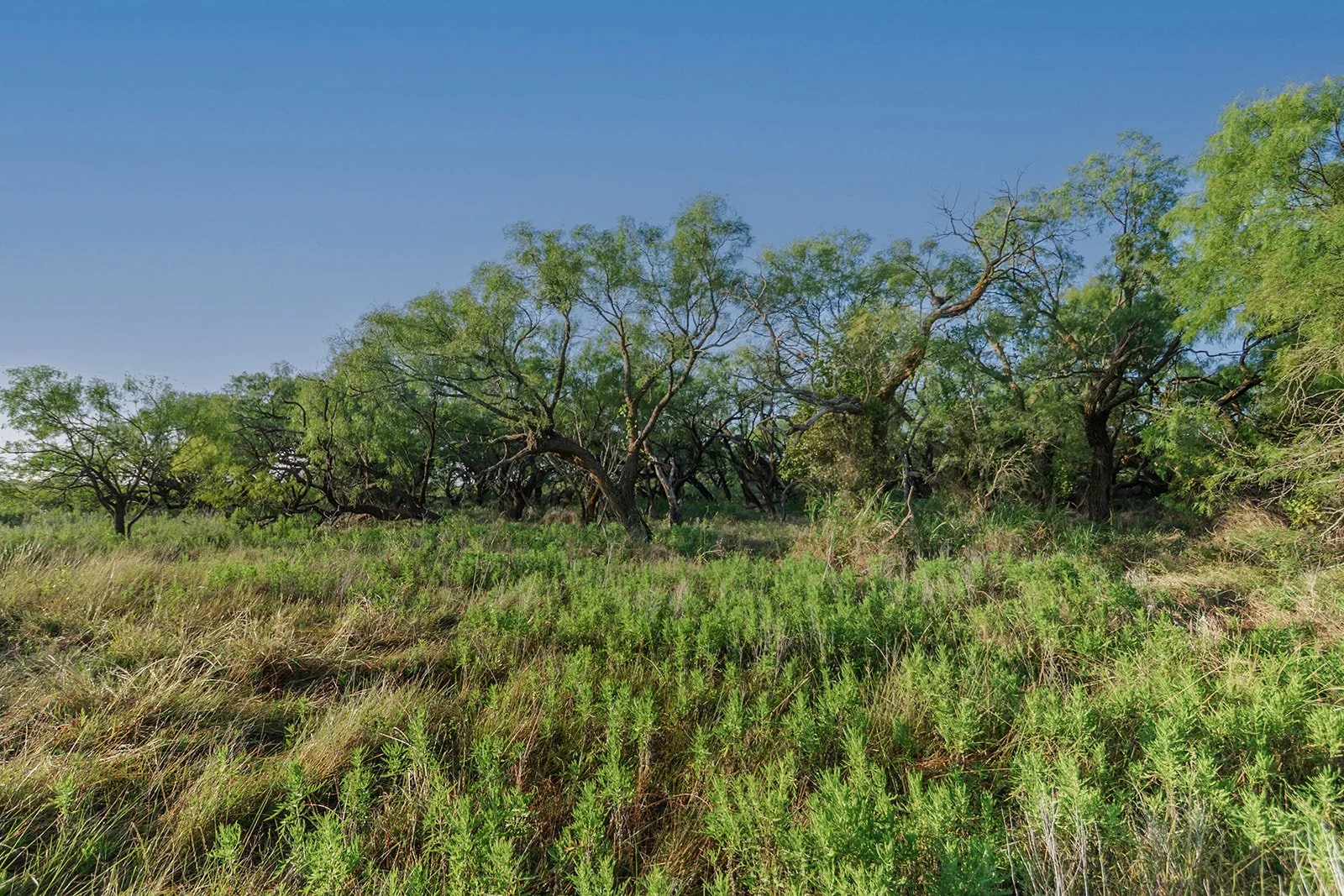 115A0377-HDR-Edit.jpg