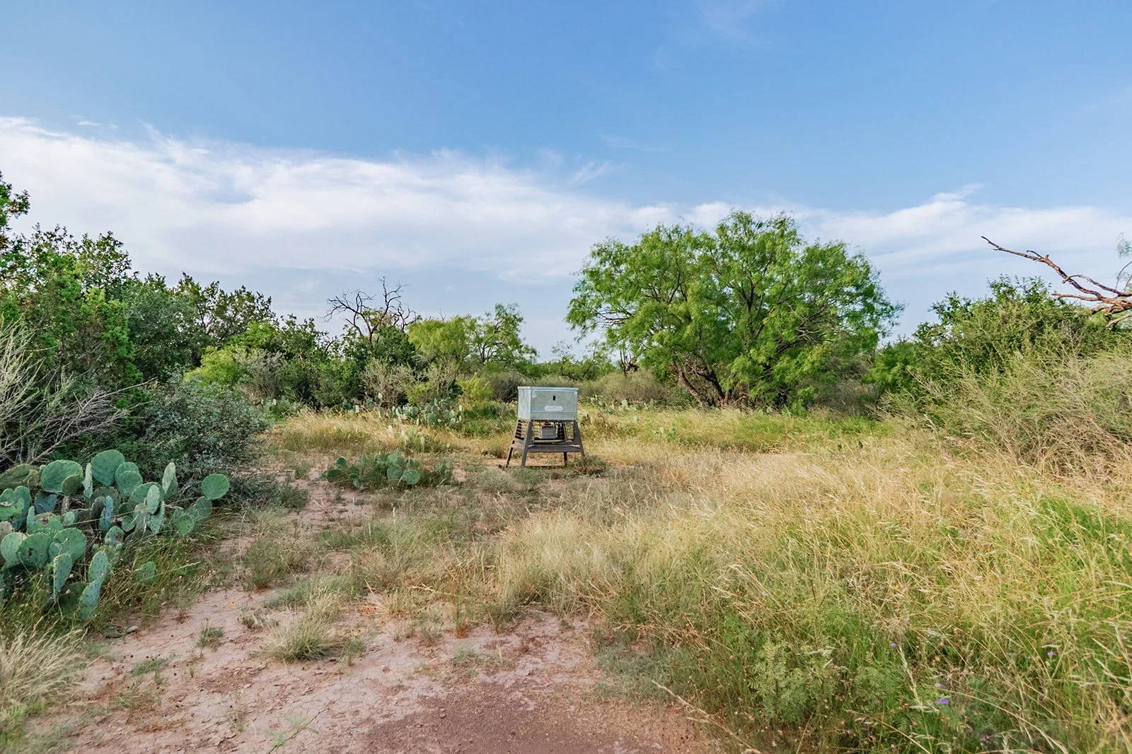115A0164-HDR-Edit.jpg