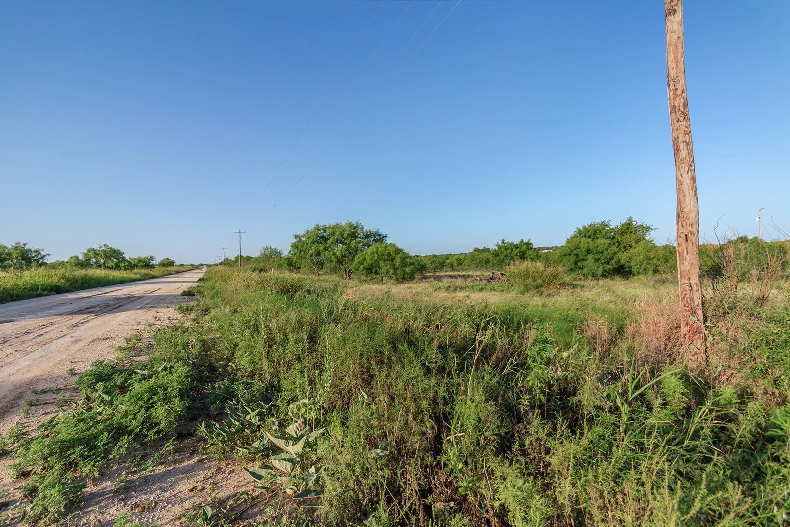115A0335-HDR-Edit.jpg