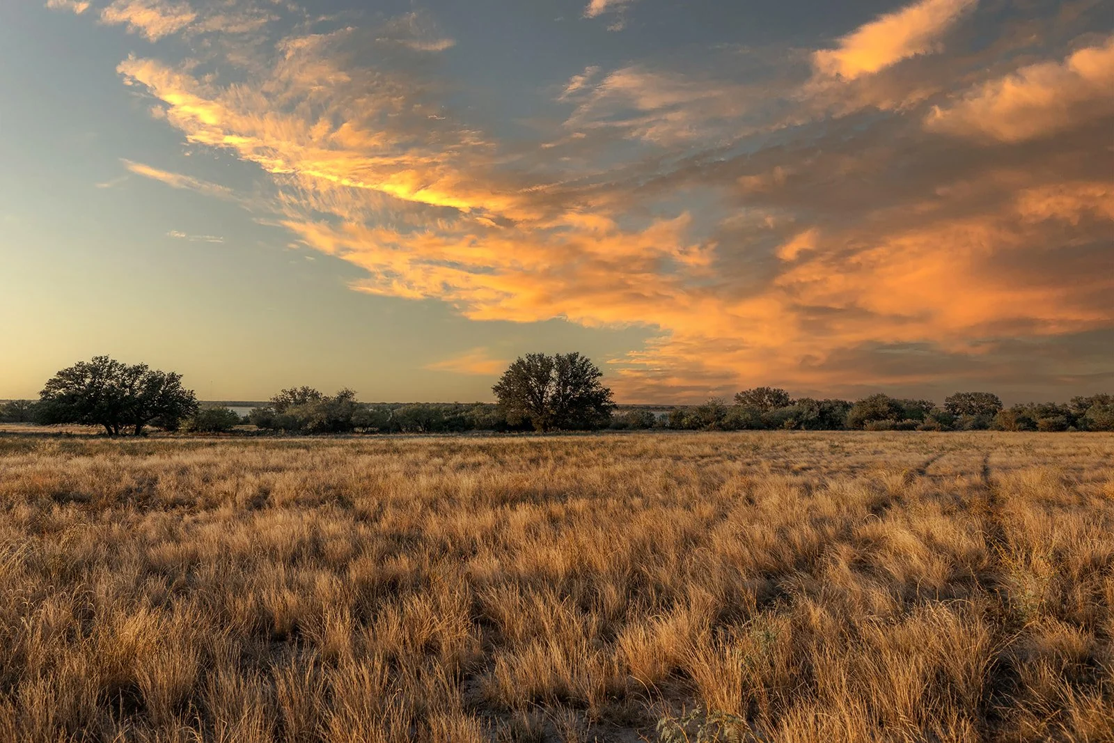 3B8A8098-HDR-Edit.jpg