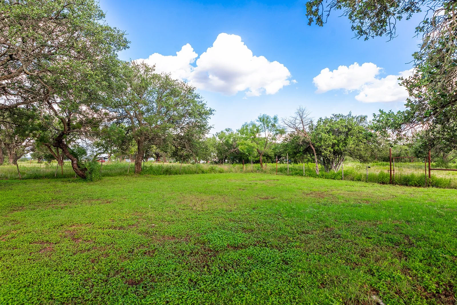 3B8A9169-HDR-Edit.jpg