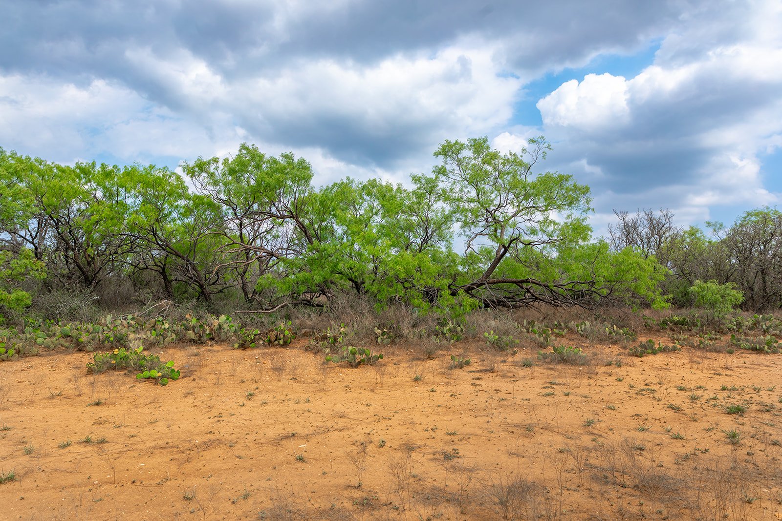 3B8A2202-HDR-Edit.jpg