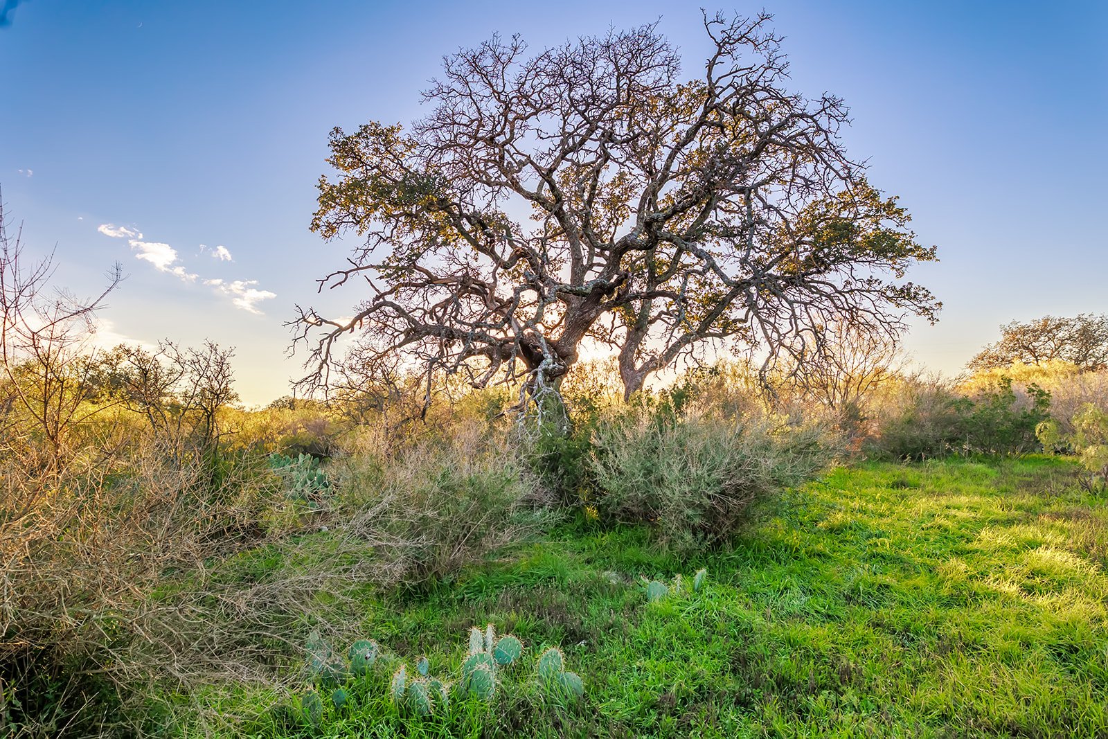115A0827-HDR-Edit.jpg