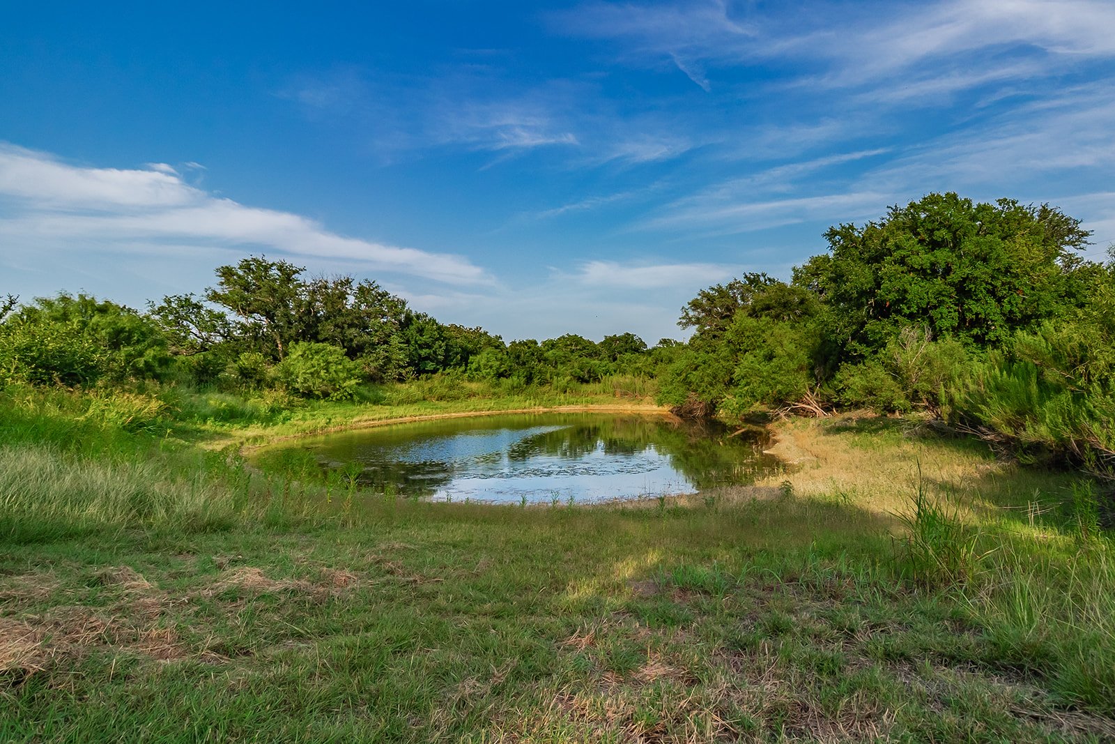 115A0131-HDR-Edit.jpg