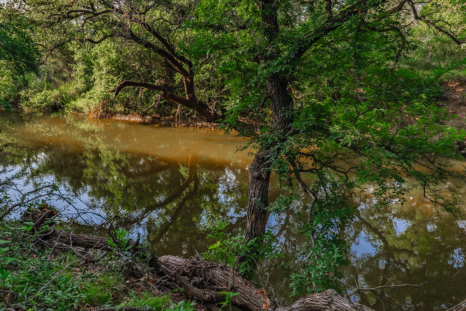 115A0083-HDR-Edit.jpg