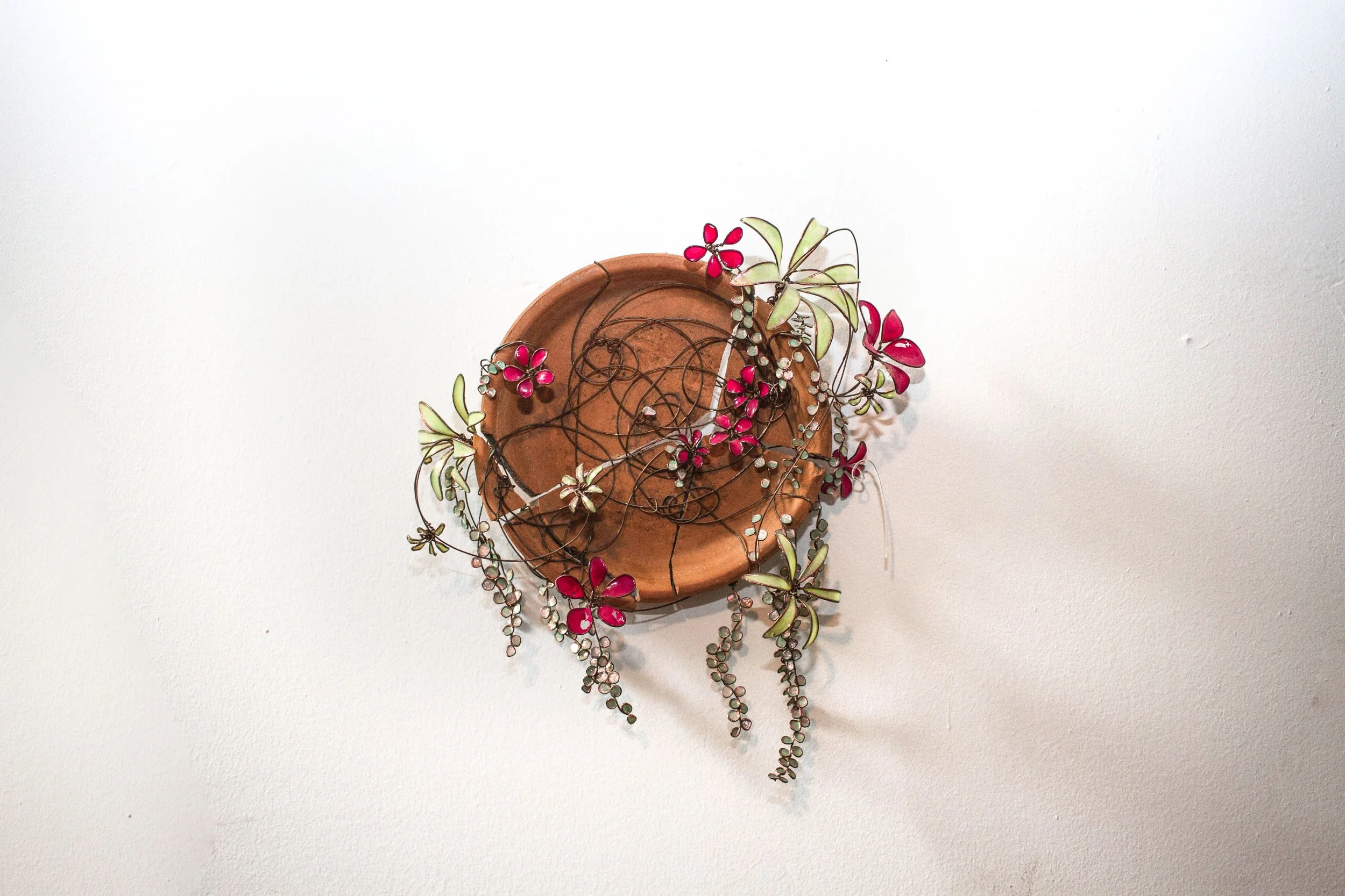 02112021-IMG_6343murphy3 copia.jpg