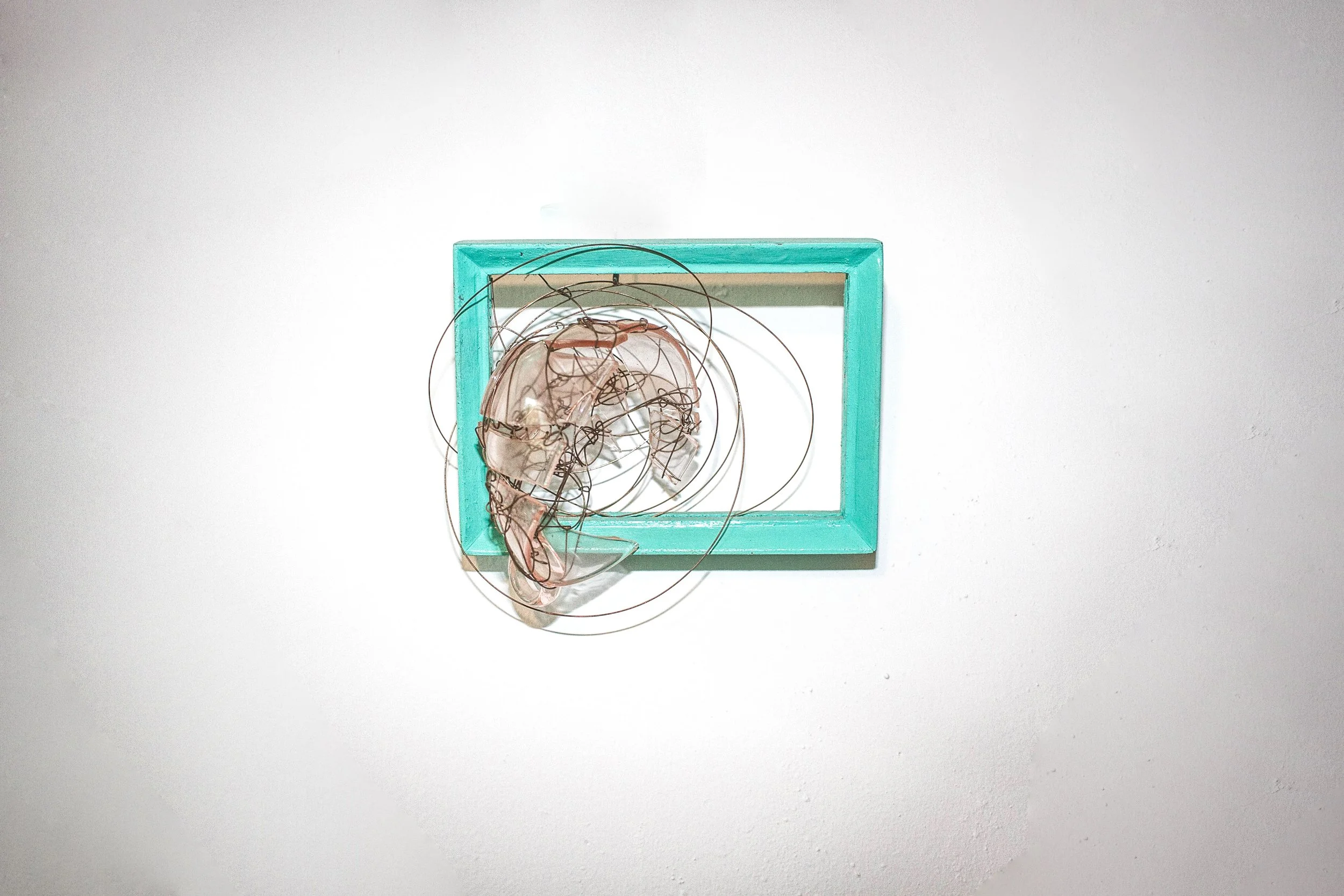 02112021-IMG_6352murphy3 copia.jpg