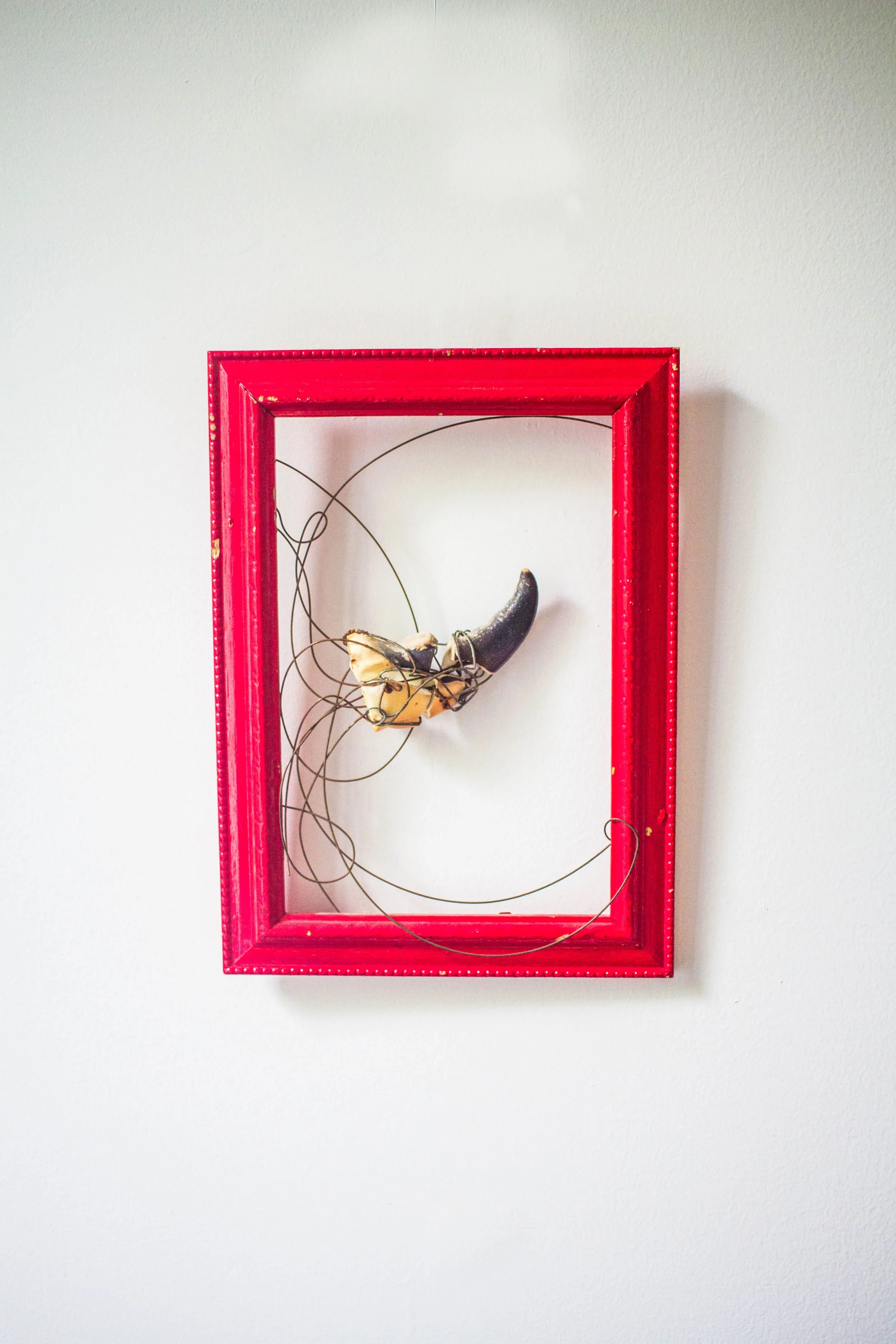 02072021-IMG_9534murphy3 copia.jpg