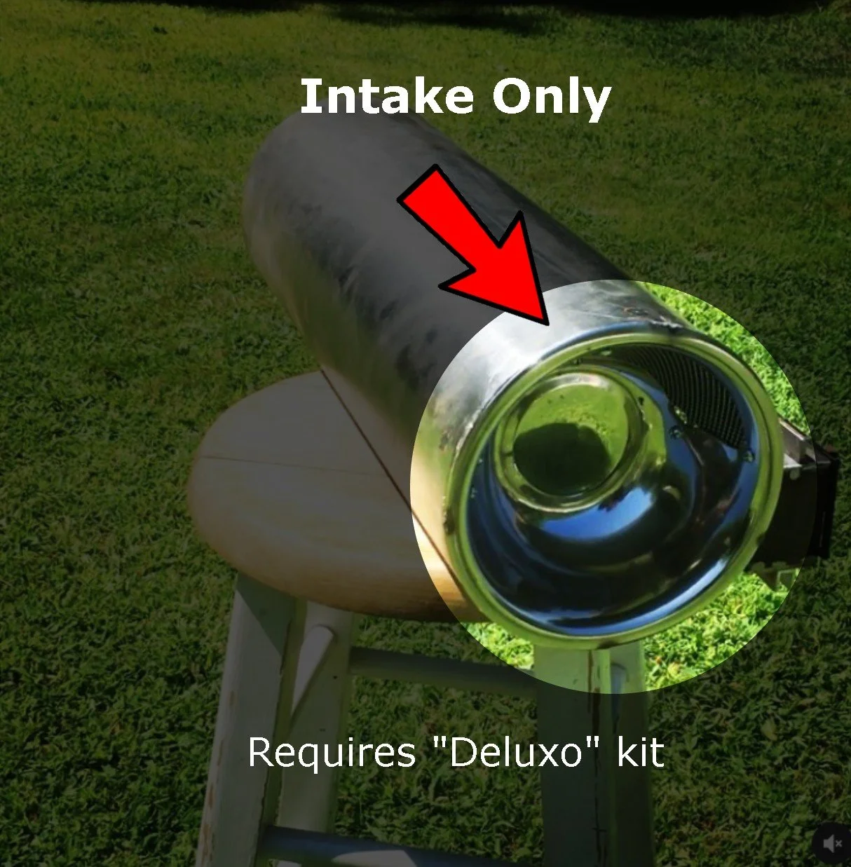 lil swampy product.jpg