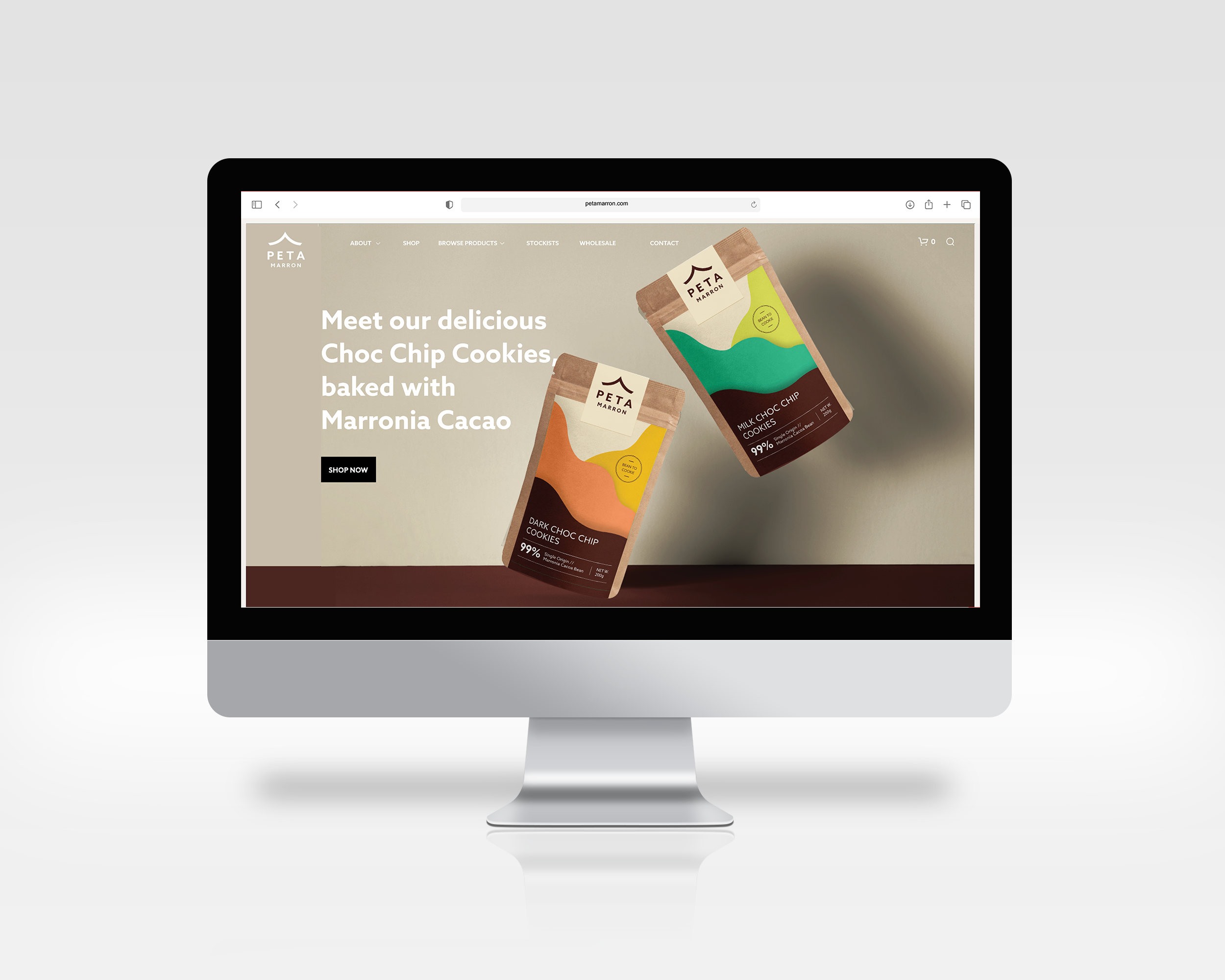 WEBSITE 1.png