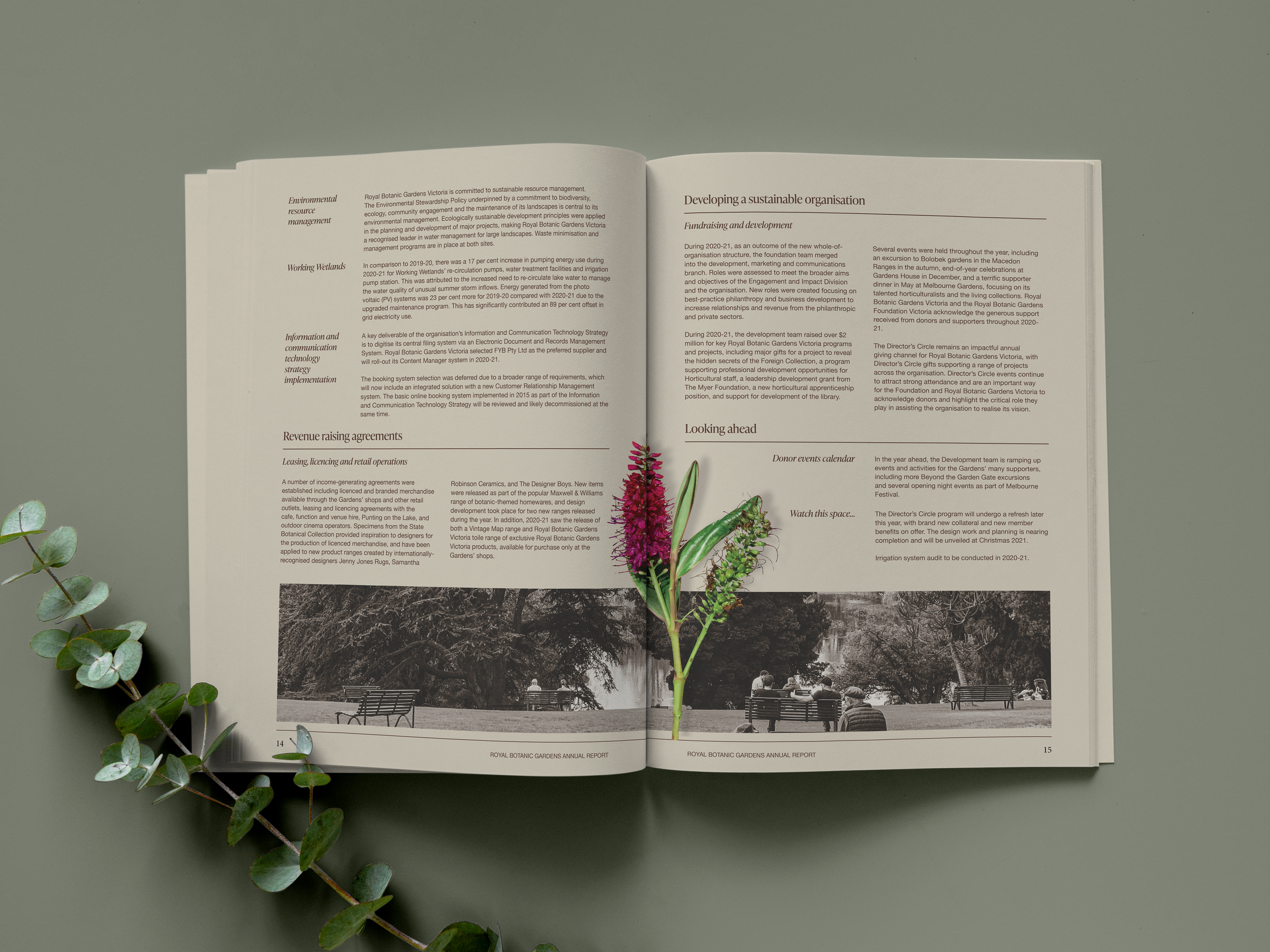 pages 2.png